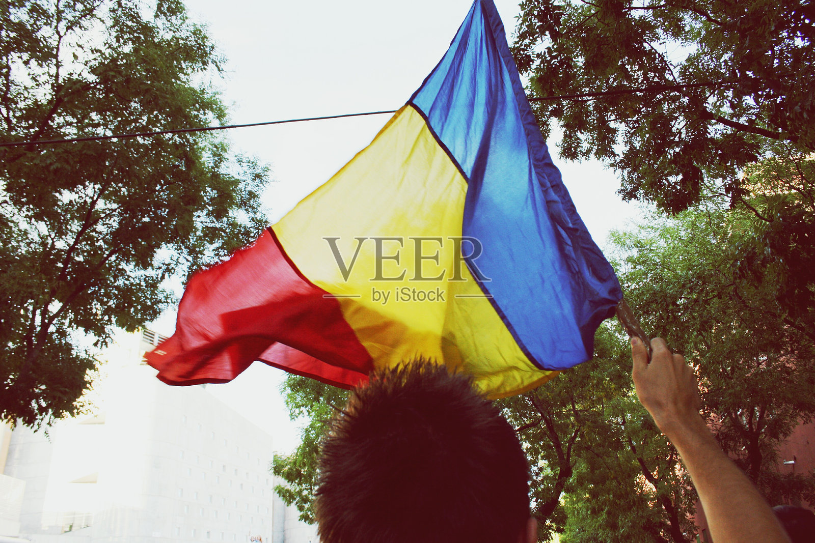 男子举着旗帜对着树的后视图照片摄影图片