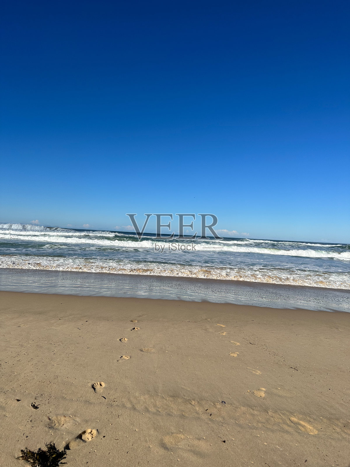 在悉尼度假和自然旅游照片摄影图片