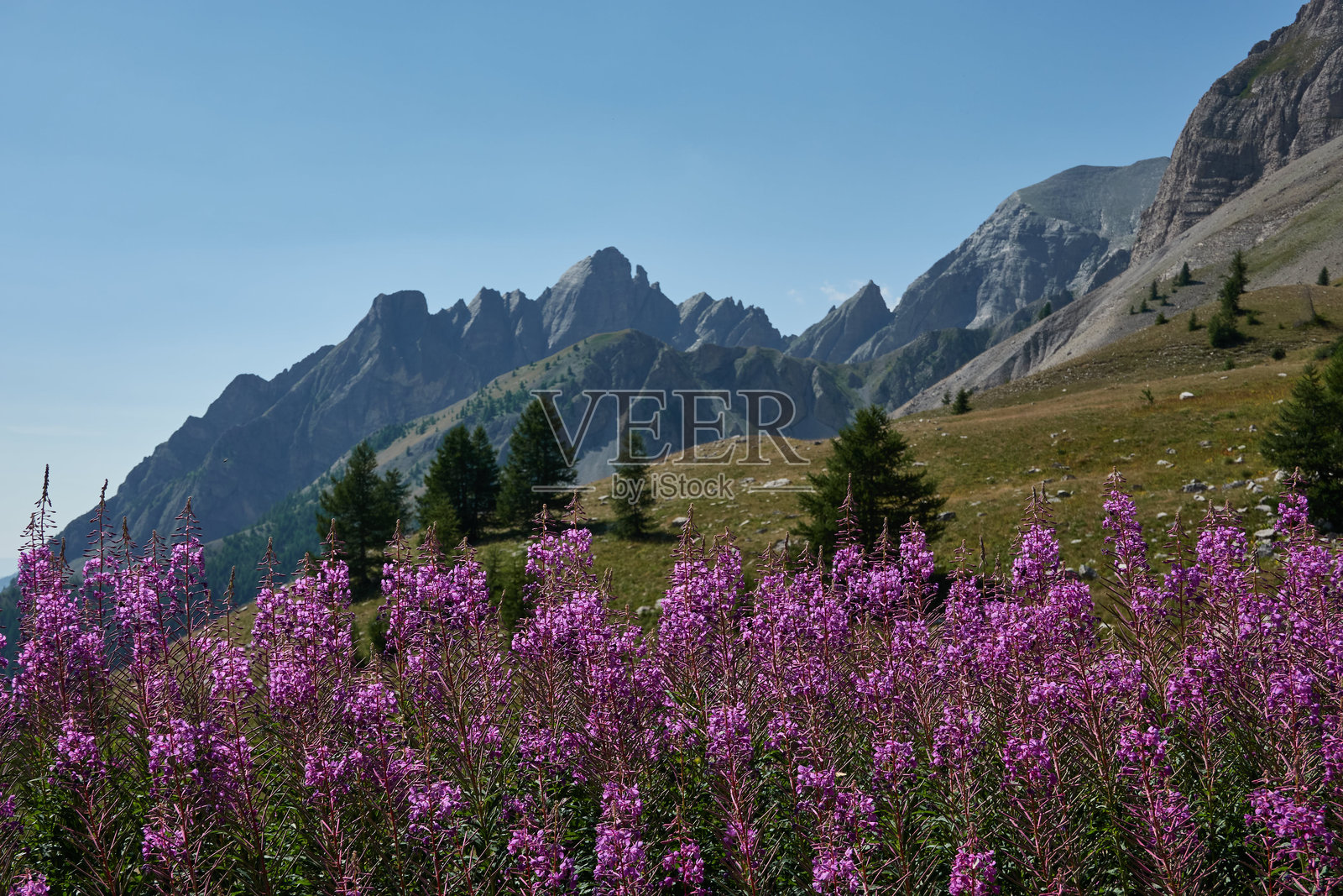 法国阿尔卑斯山脉梅尔坎图尔国家公园香榭丽舍大道的美丽全景。照片摄影图片
