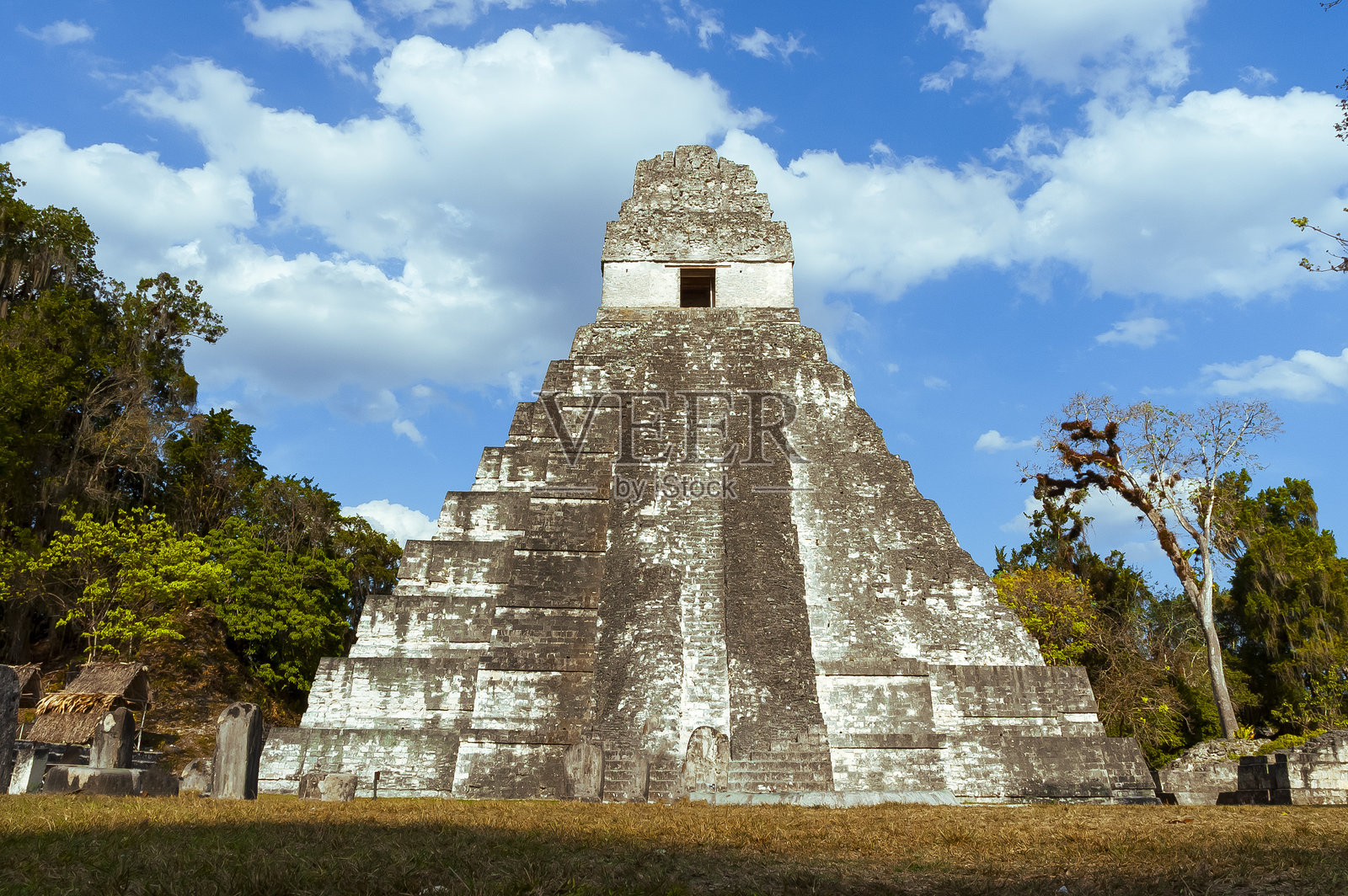 金字塔在危地马拉佩滕，被称为美洲虎，热带丛林的石灰岩网文化遗产。照片摄影图片