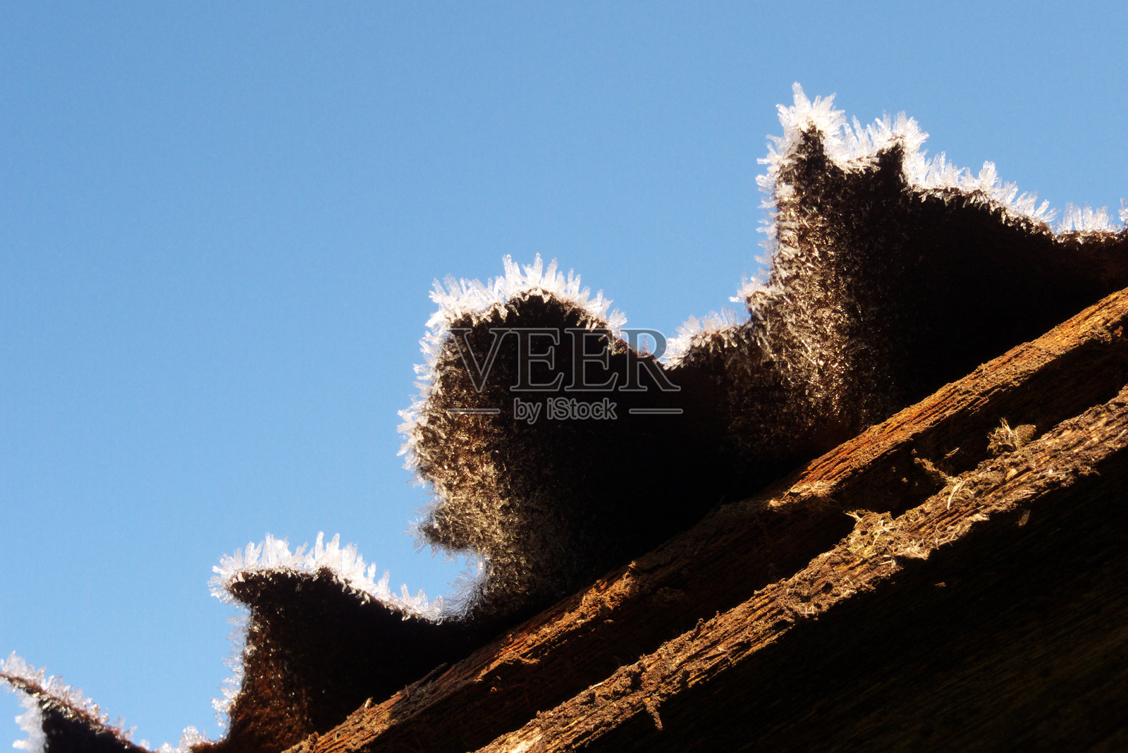 冬天的早晨，磨砂的铁皮屋顶照片摄影图片