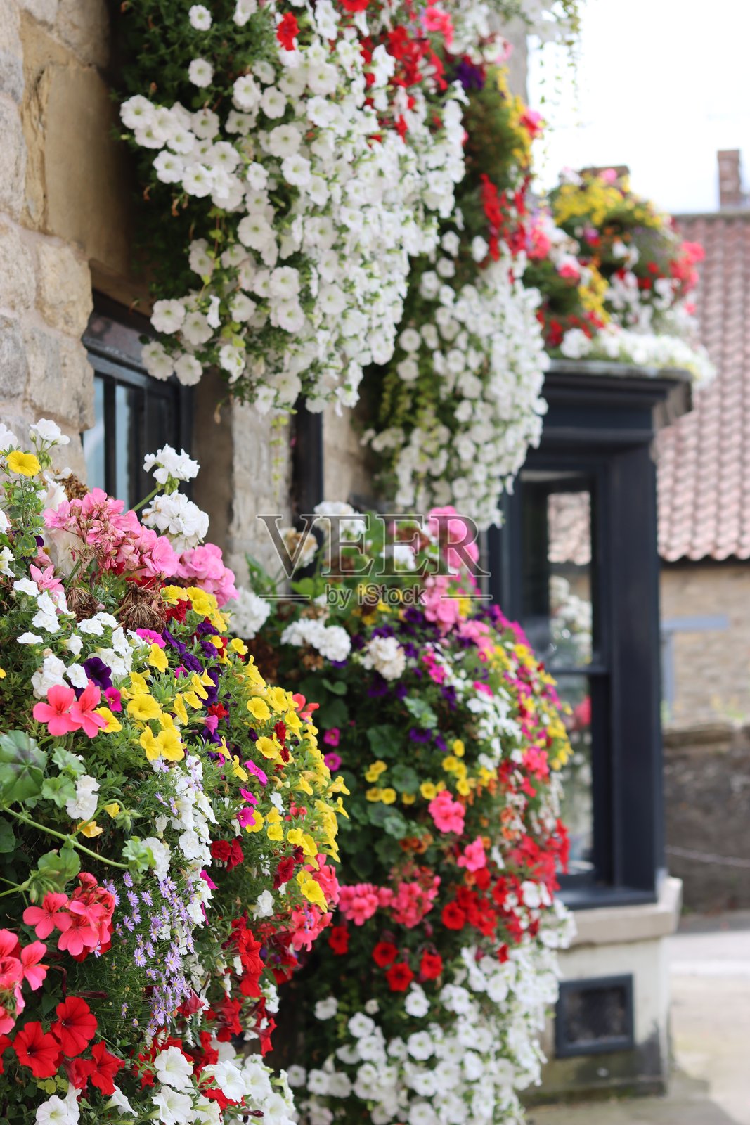 墙上篮子里五颜六色的花照片摄影图片
