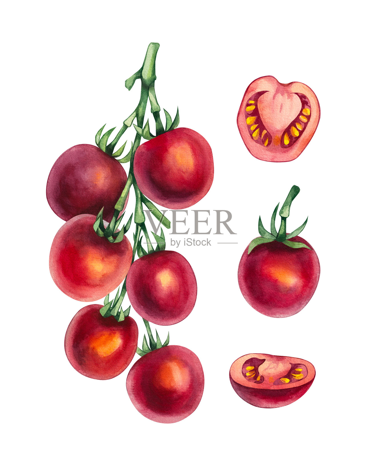 水彩番茄蔬菜手绘插画图片素材