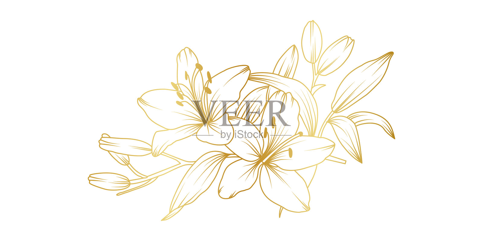 金色百合花线条图案，独立于白色背景。奢华的百合花卉设计元素，适用于邀请函、婚礼、壁纸、印刷模板，矢量插图。插画图片素材