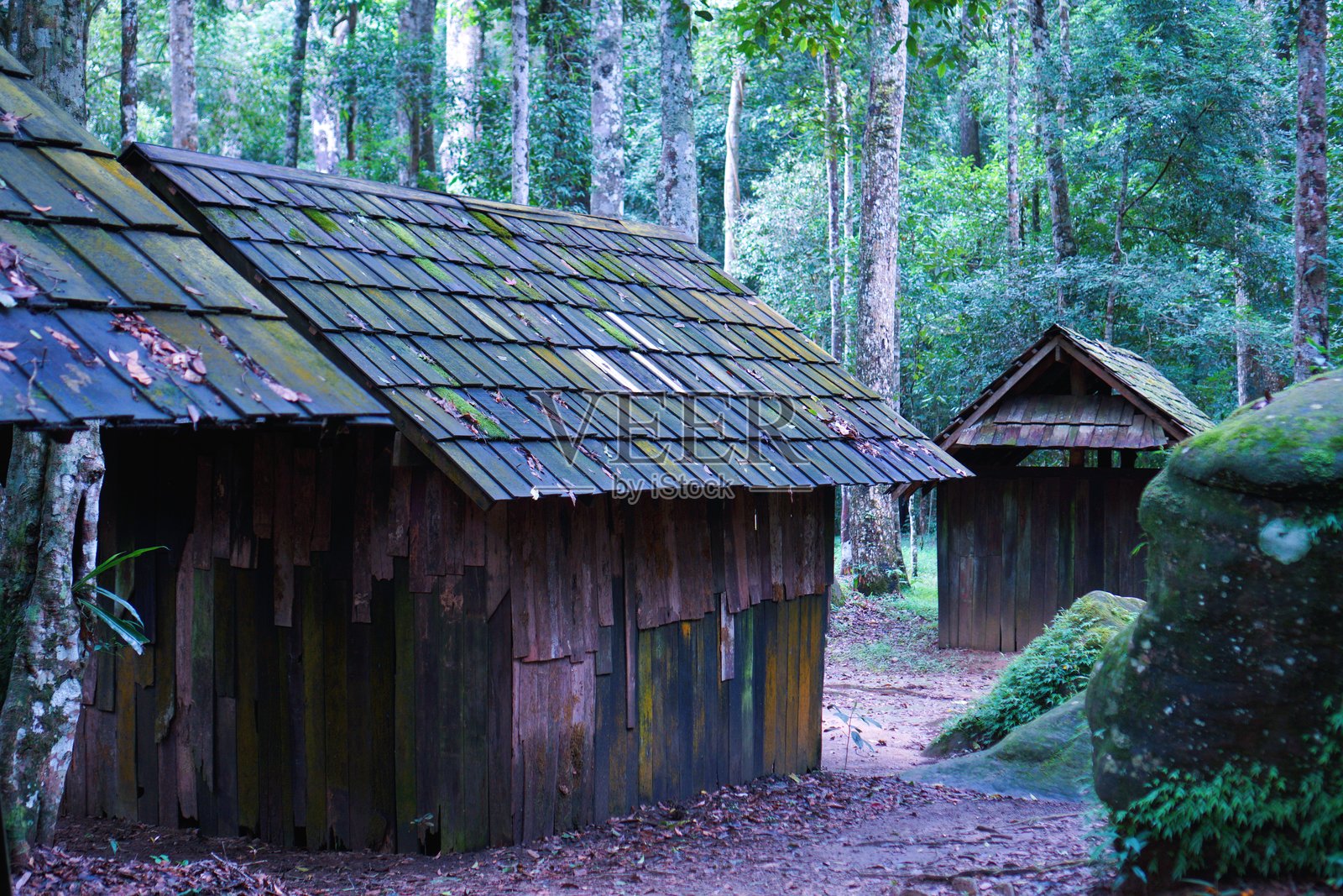 普欣荣克拉国家公园政治与军事学校的小屋，位于泰国洛伊和披集省。这是一个鲜为人知的古老旅游景点。照片摄影图片