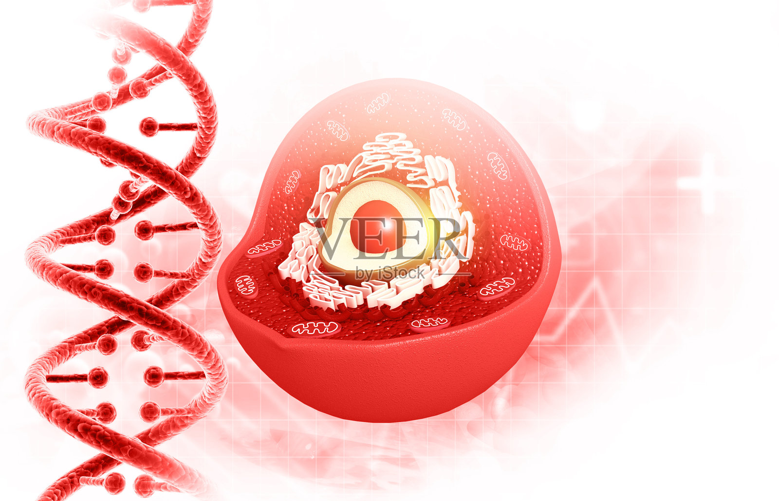 用DNA分子解剖人体细胞照片摄影图片