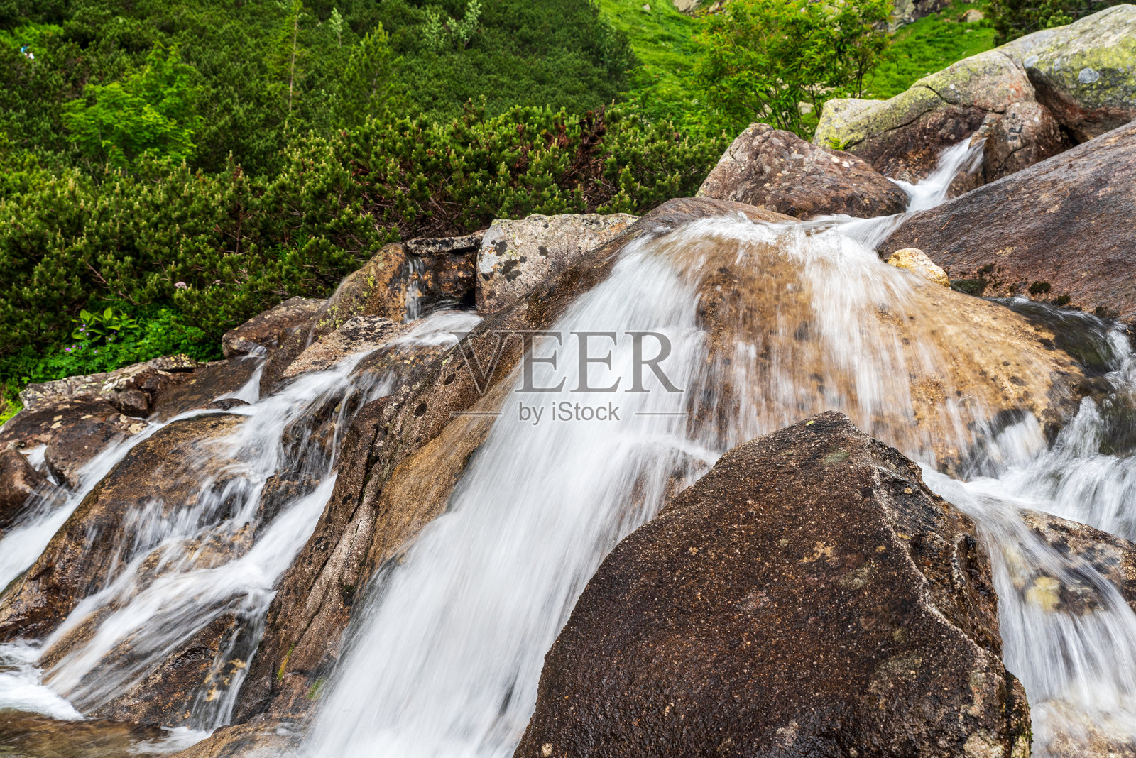在斯洛伐克的高塔特拉山脉，有小激流和石头的野生山河照片摄影图片