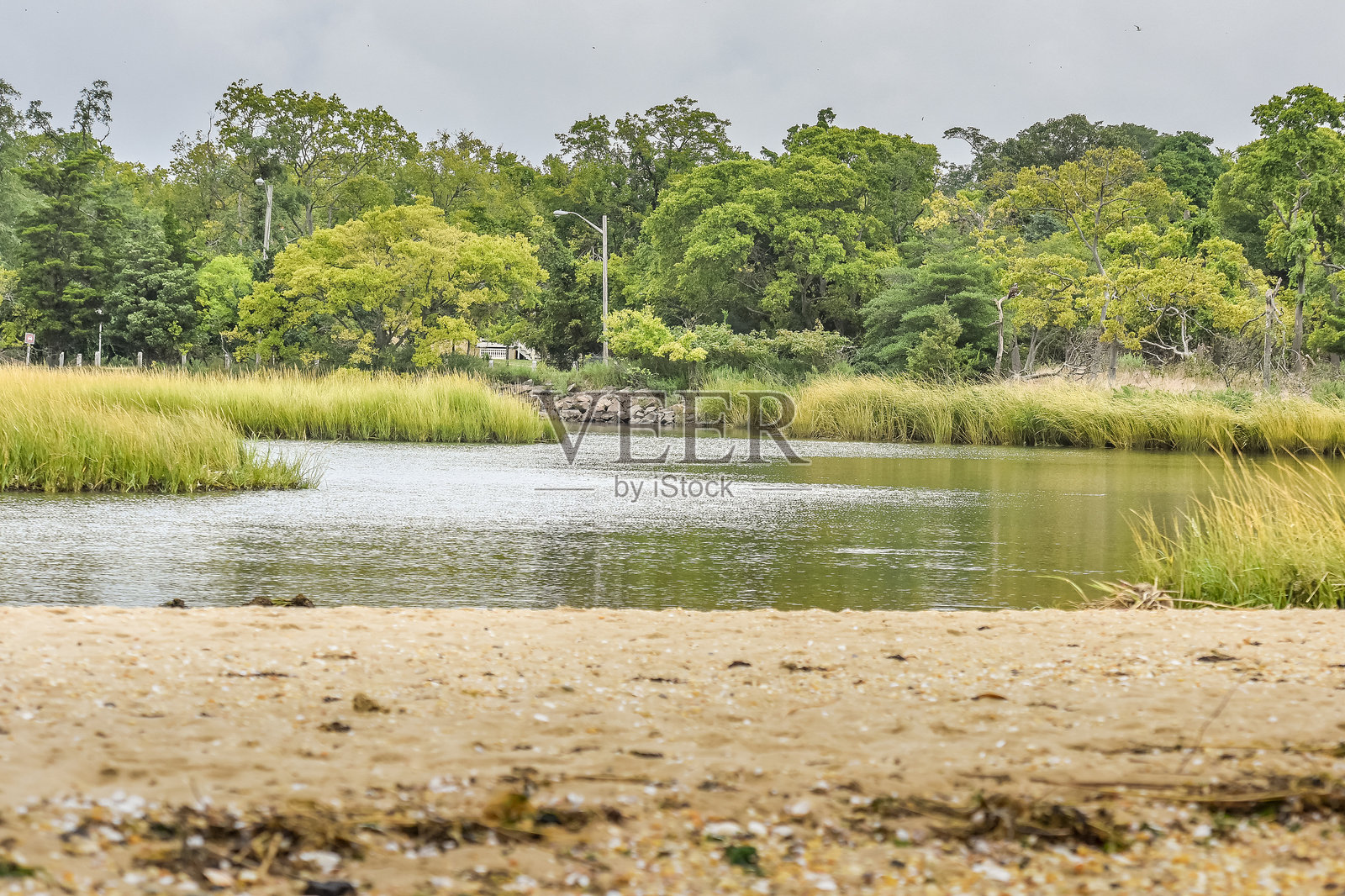 通过摄影师的眼睛照片摄影图片