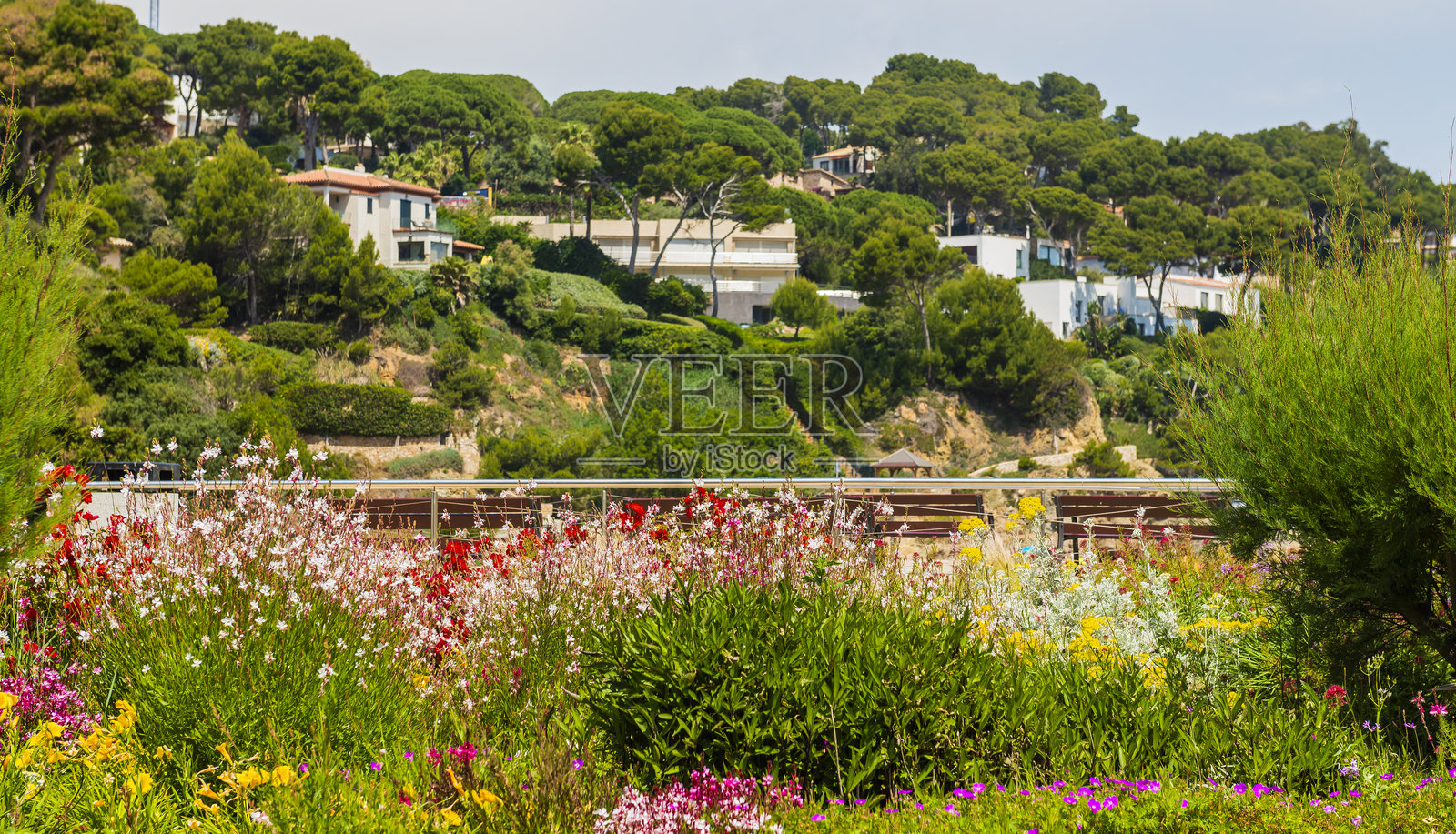 Cala de Sa Riera, Begur，加泰罗尼亚，西班牙照片摄影图片