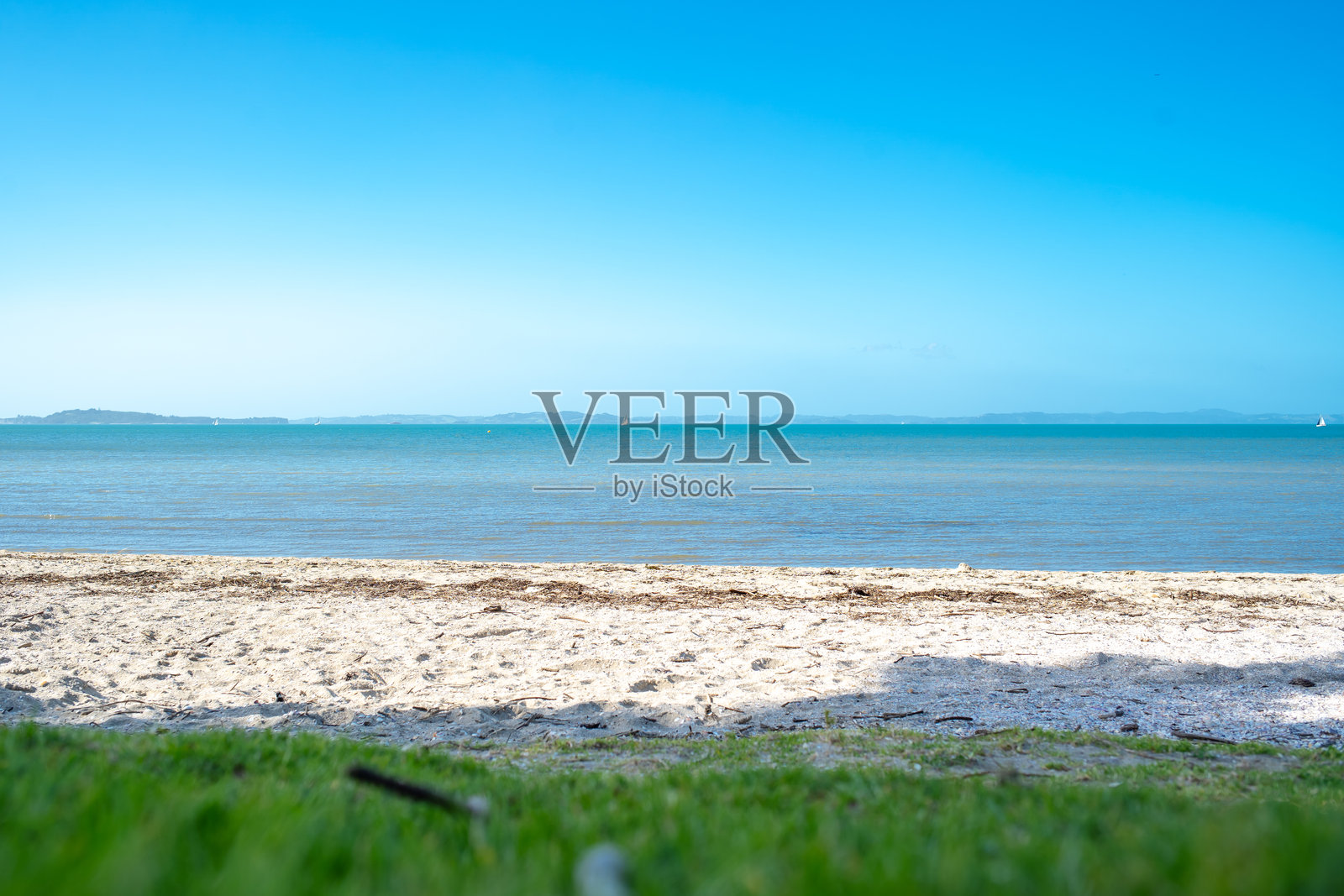 阳光明媚的春日，奥克兰的海边。新西兰。照片摄影图片