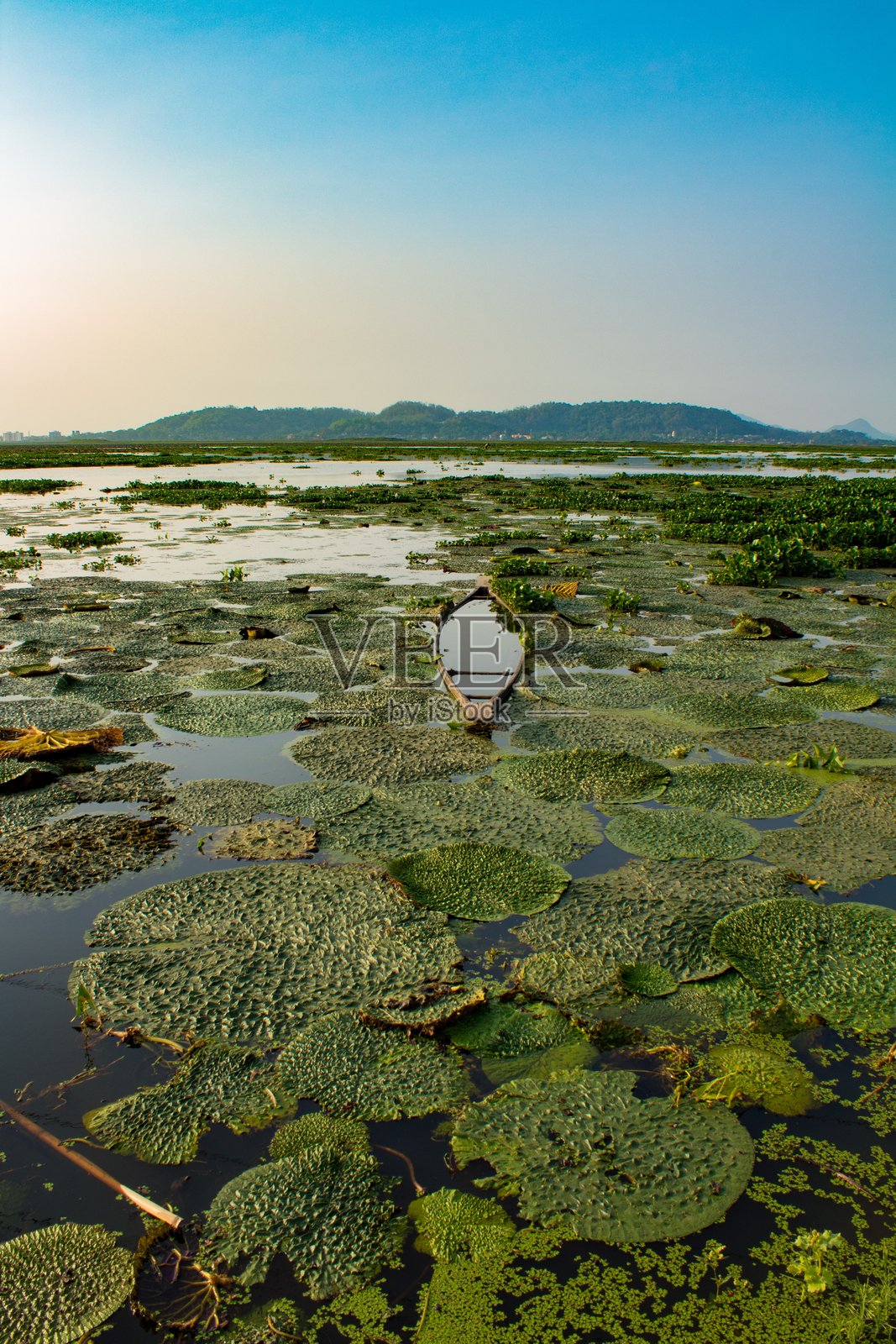 湖中荷花的美丽景色与天空相映成趣照片摄影图片