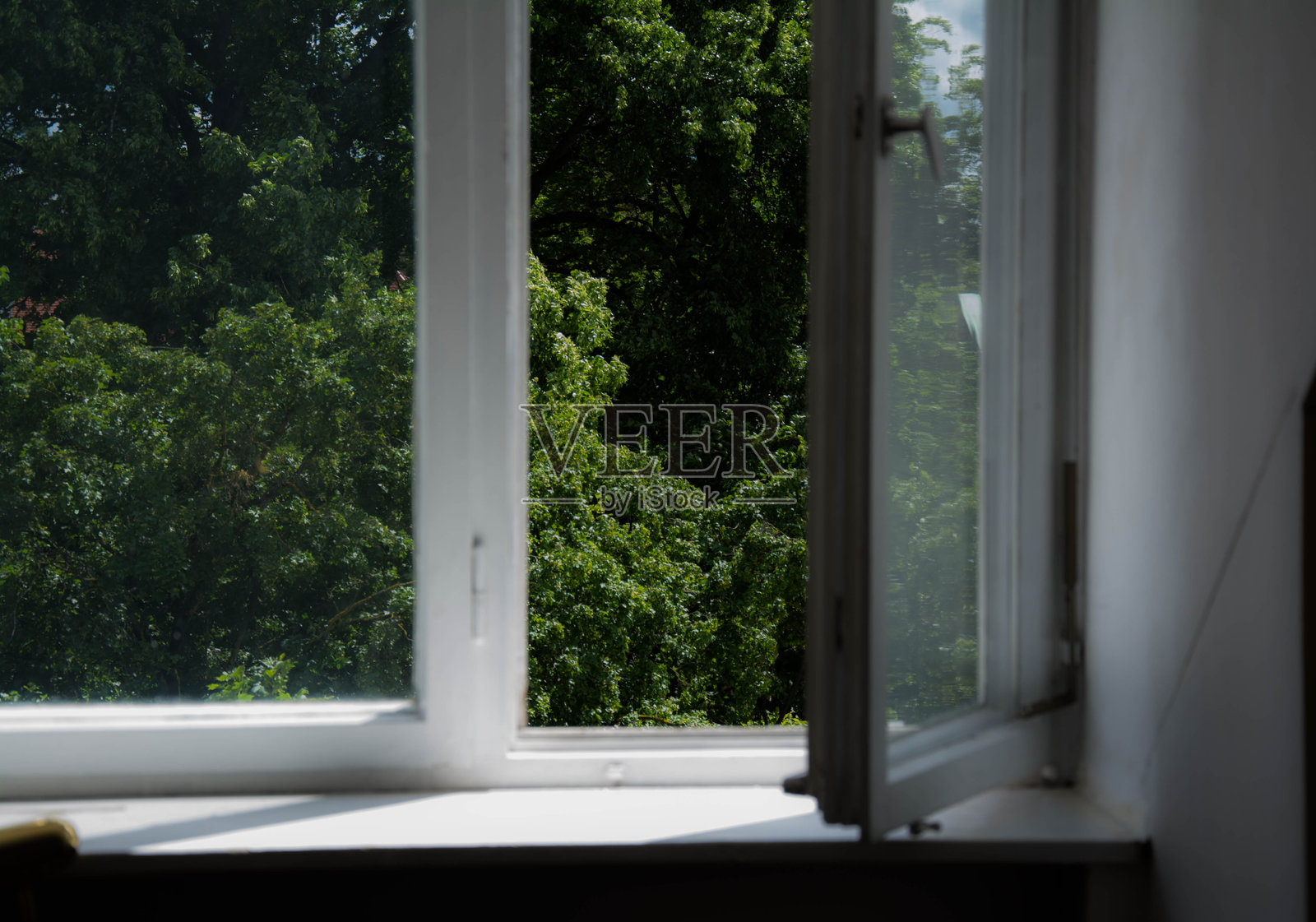 透过房子的开放窗户看到的树木照片摄影图片