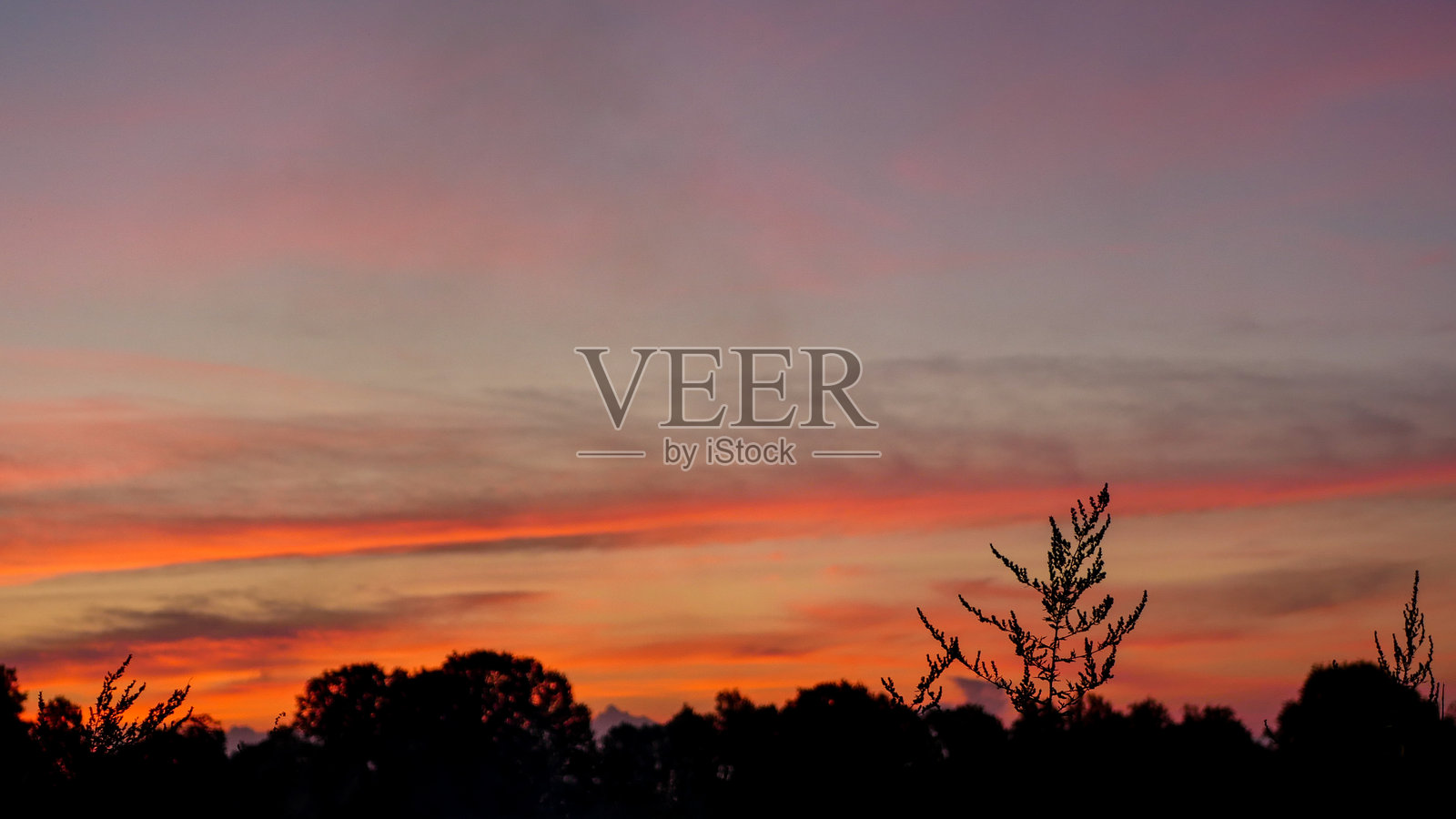 日落后的天空，映照在田野上，温暖的色彩。照片摄影图片