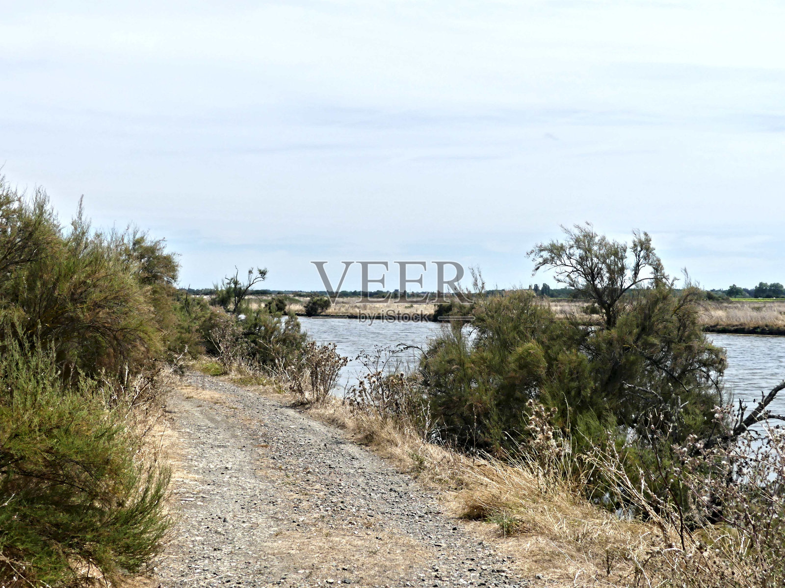 盐沼风光照片摄影图片