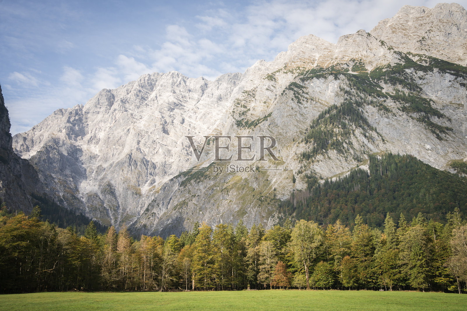 秋色森林和岩石山脉背景下的绿色牧场，德国奥伯湖照片摄影图片
