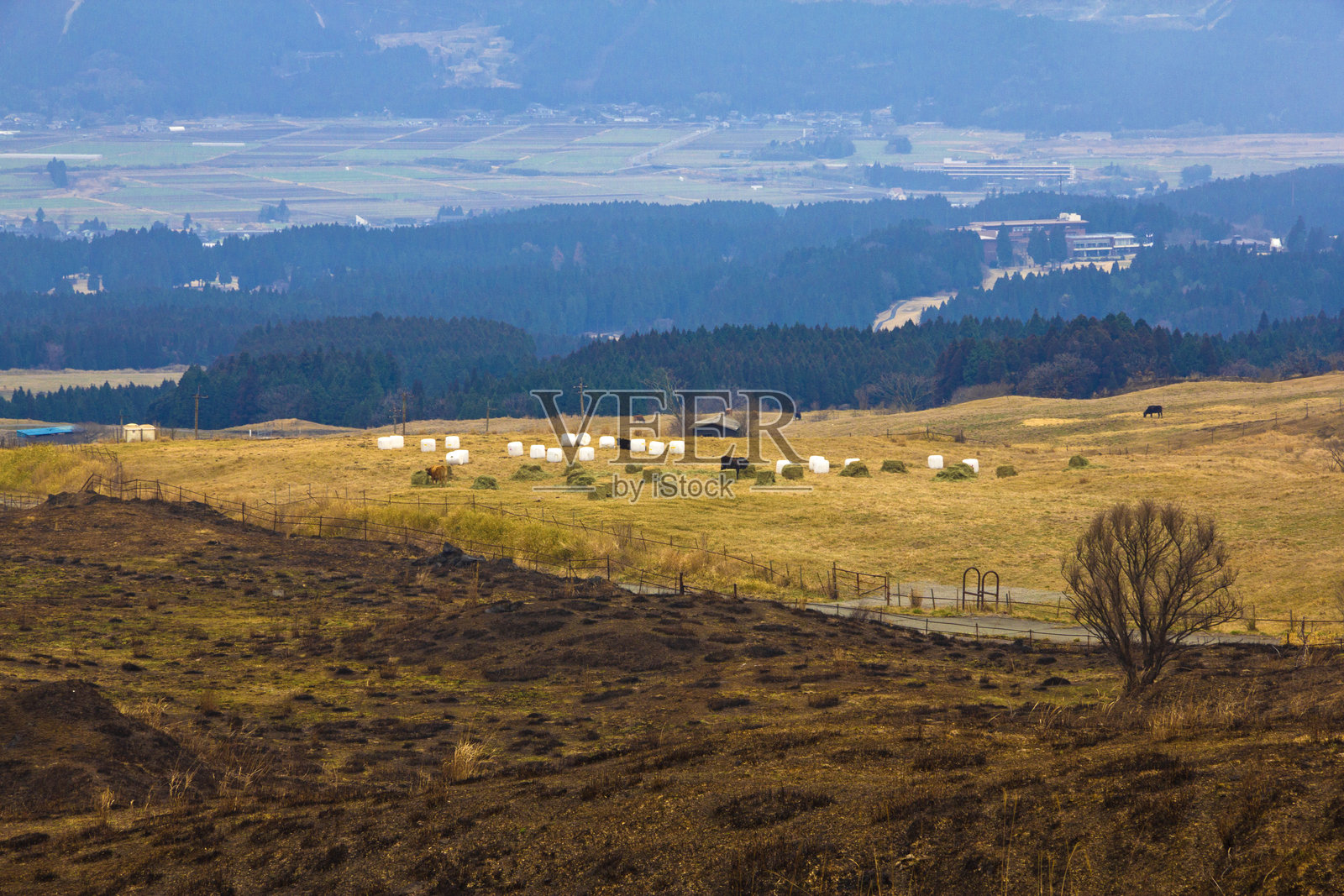 九州公路旅行：阿苏山，日本九州熊本县最大的活火山火山口。照片摄影图片