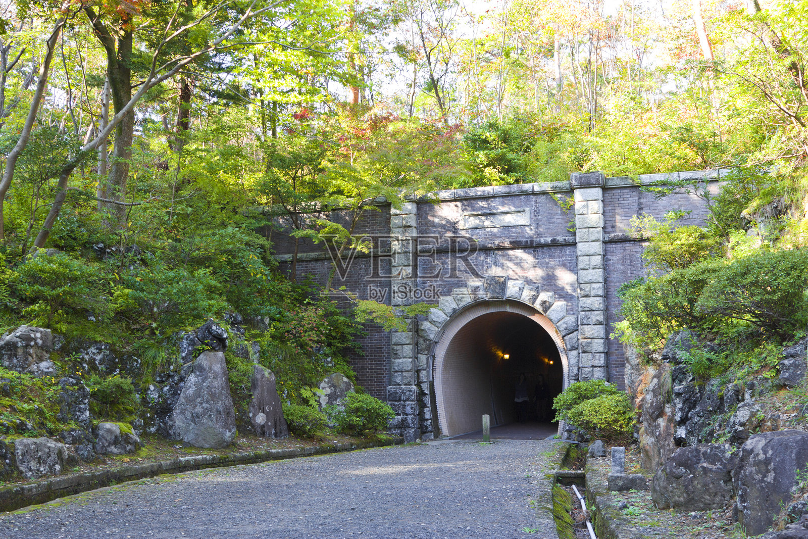 日本中部新潟县的秋季矢彦公园。照片摄影图片