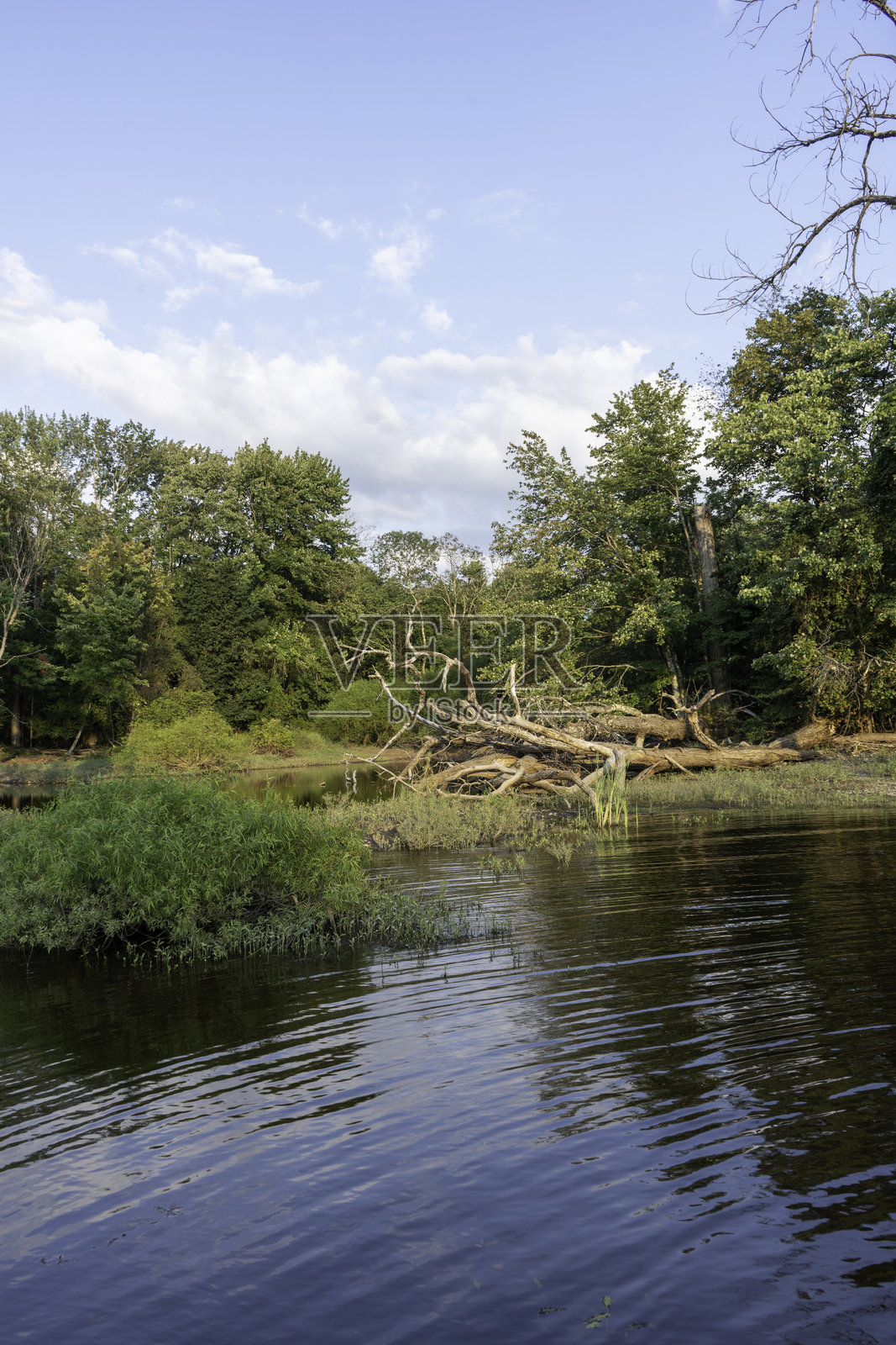 鲑鱼河水库#3的景观照片摄影图片