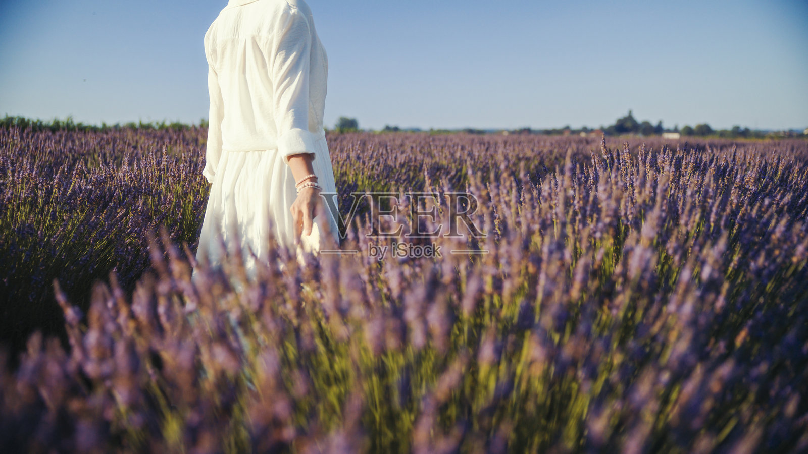 黄昏时分在薰衣草田中的宁静女性照片摄影图片