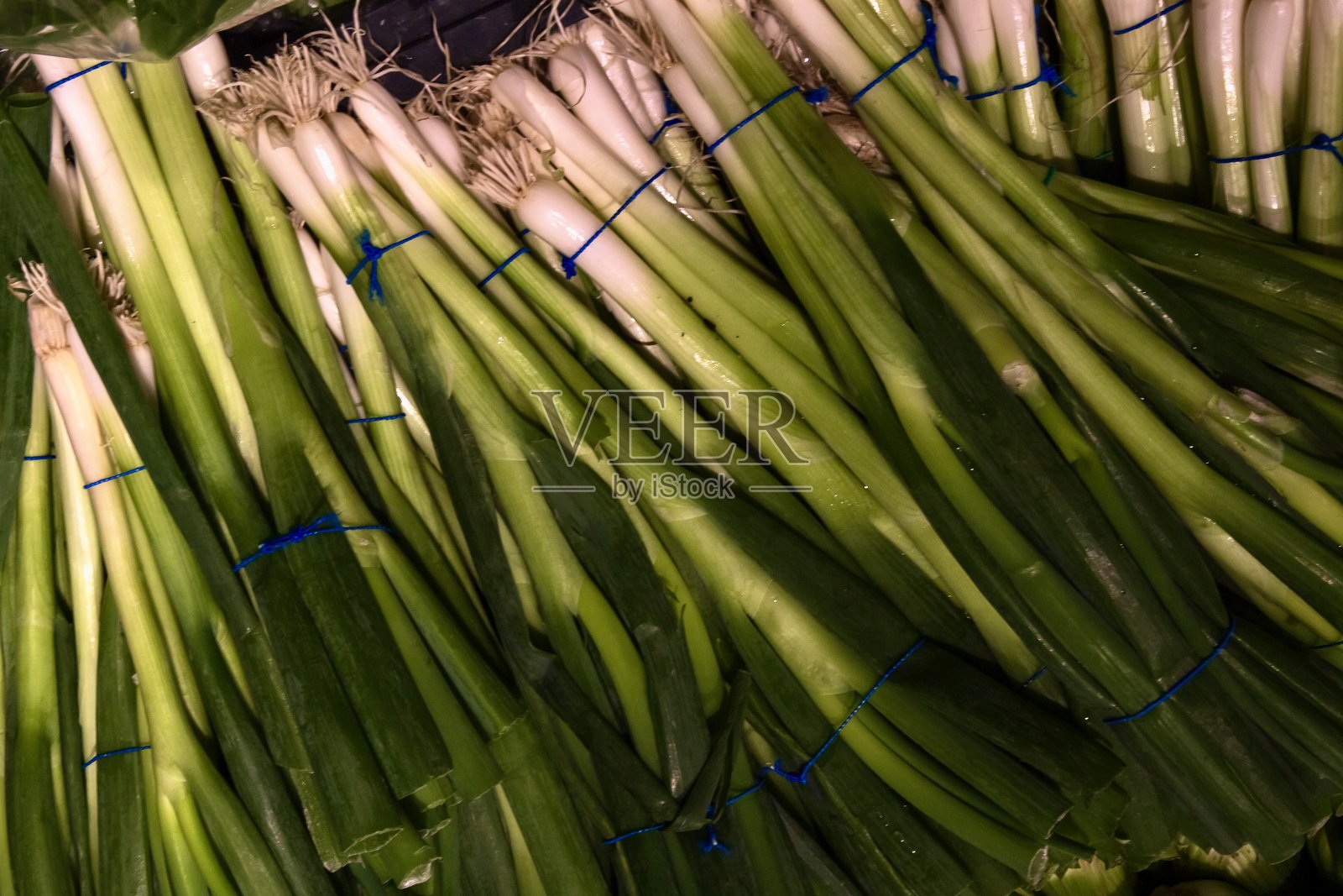 Onions照片摄影图片