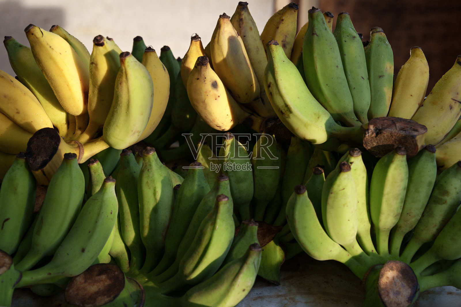 阳光柔和地照耀着香蕉。照片摄影图片