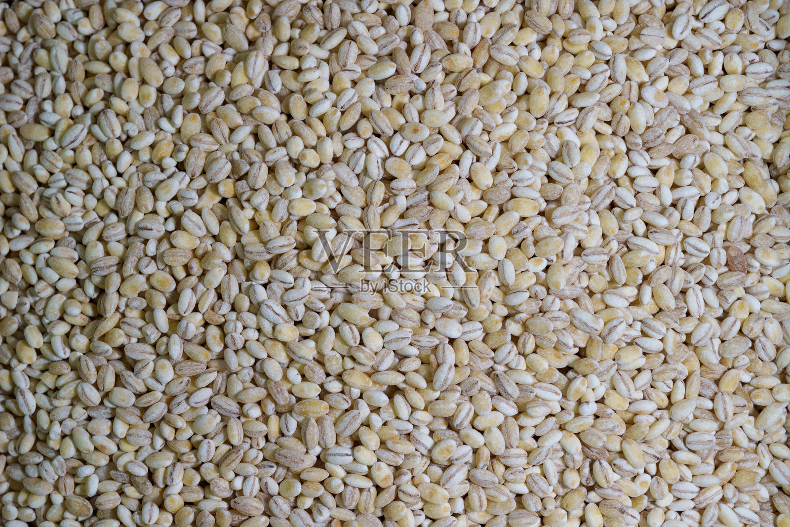 干珍珠大麦颗粒的俯视图，形成纹理背景。照片摄影图片