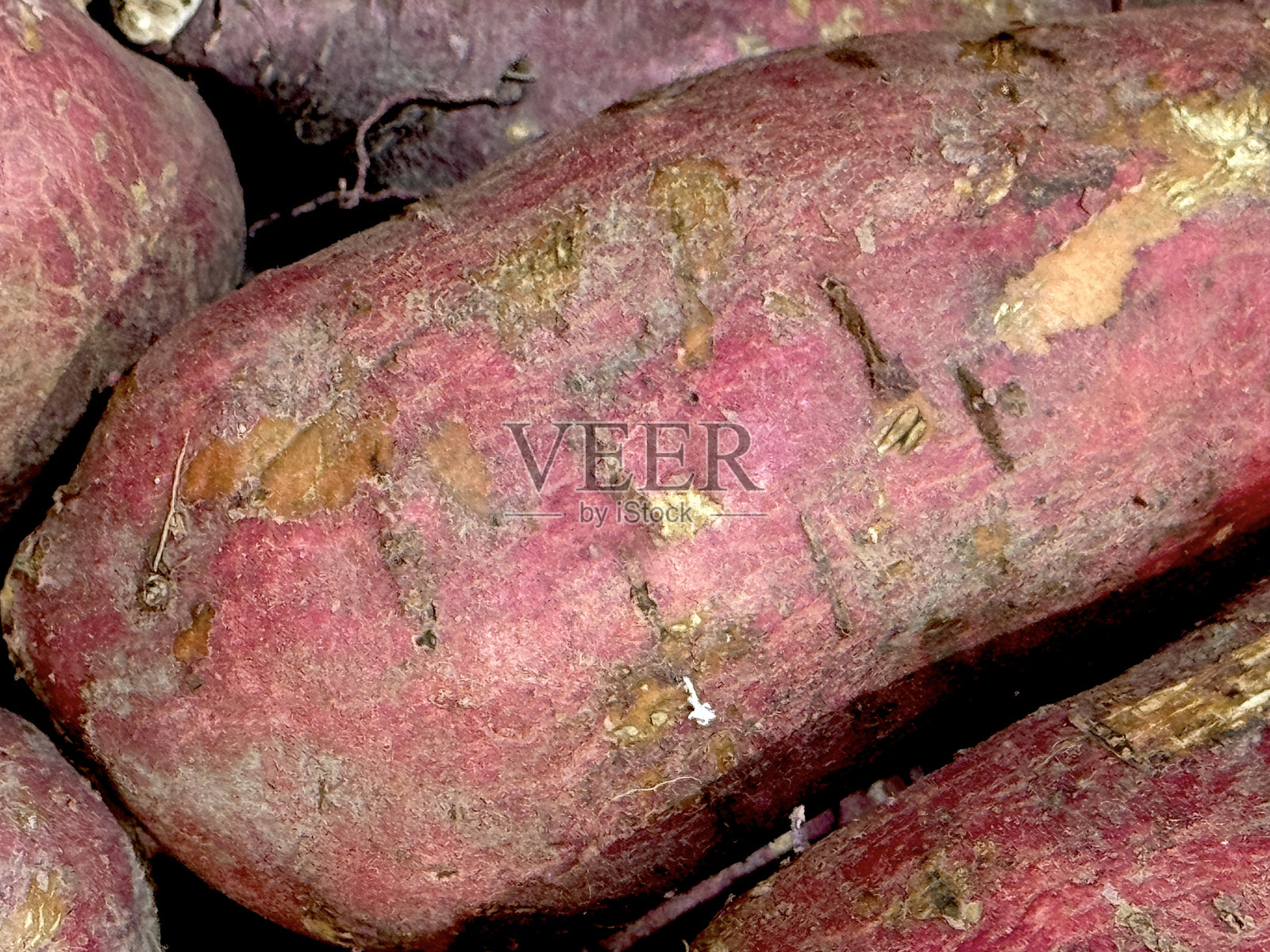 红薯照片摄影图片