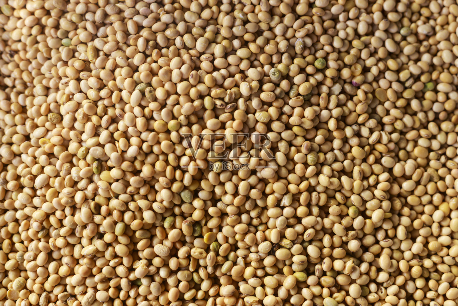 大豆特写镜头照片摄影图片