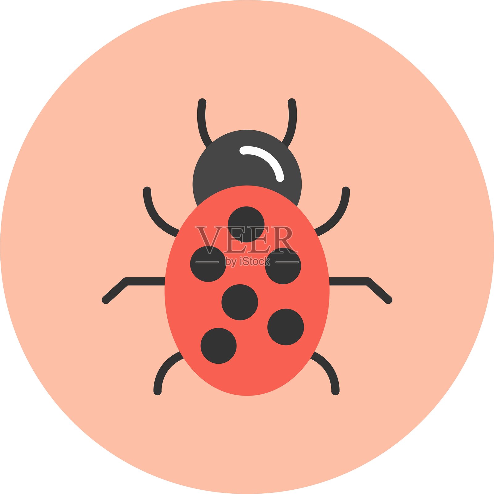 虫子扁平圆形图标插画图片素材