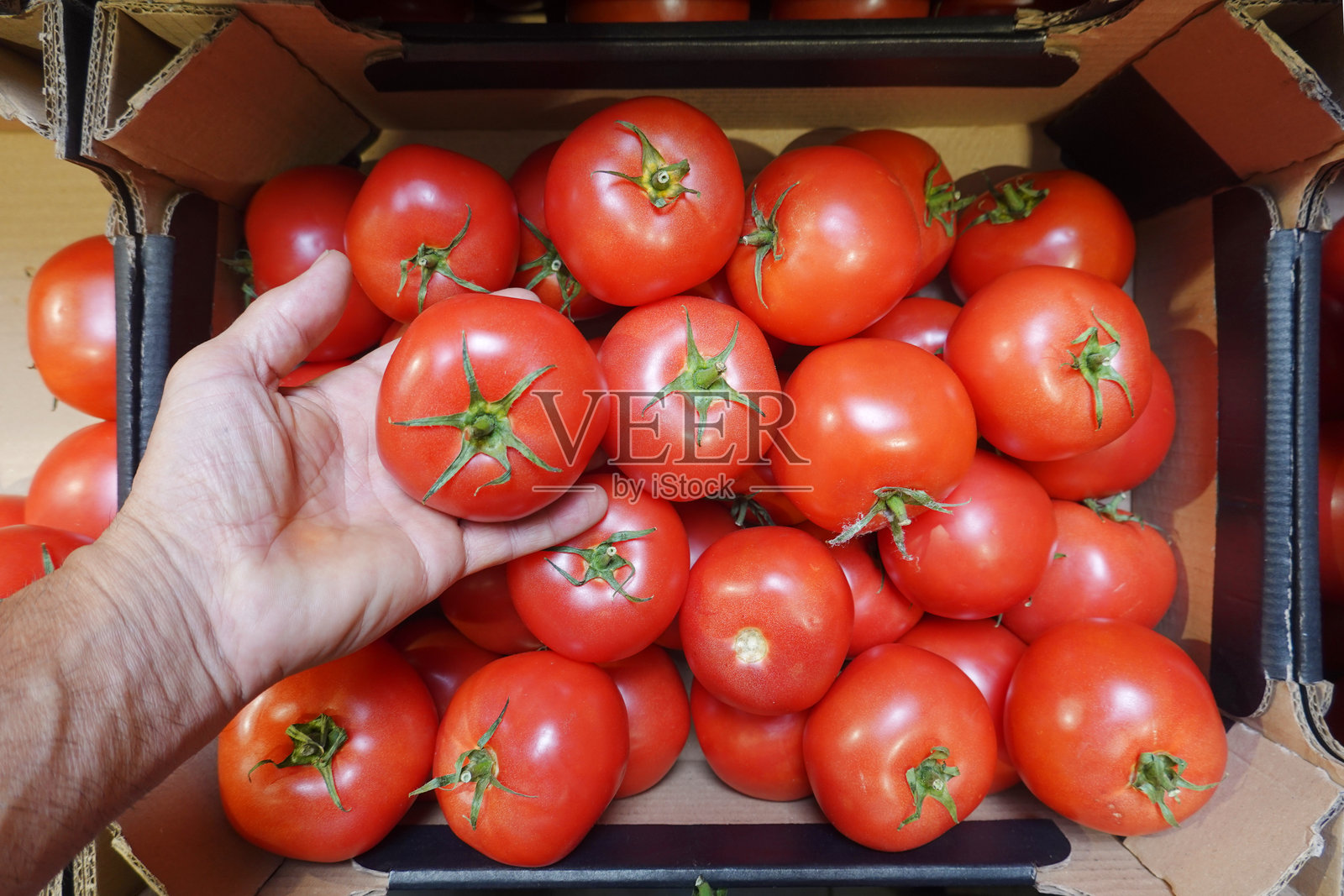 波纹纸箱中的红番茄照片摄影图片