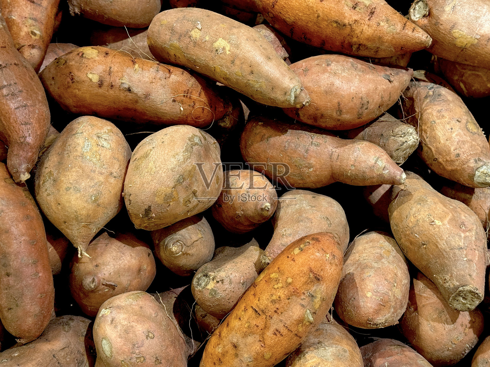 一组甘薯照片摄影图片