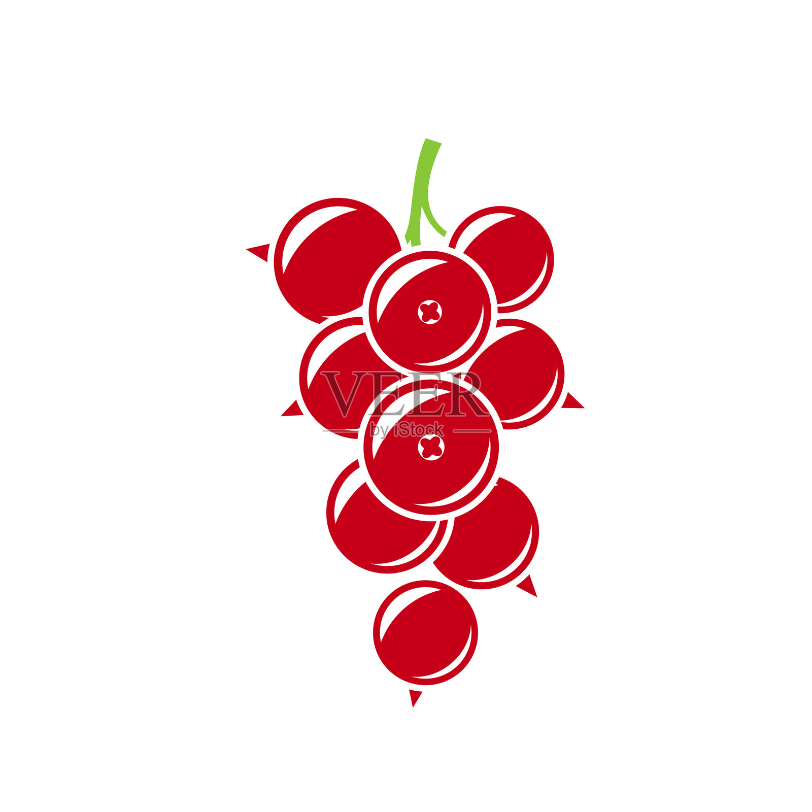 红醋栗矢量图。新鲜浆果插画图片素材