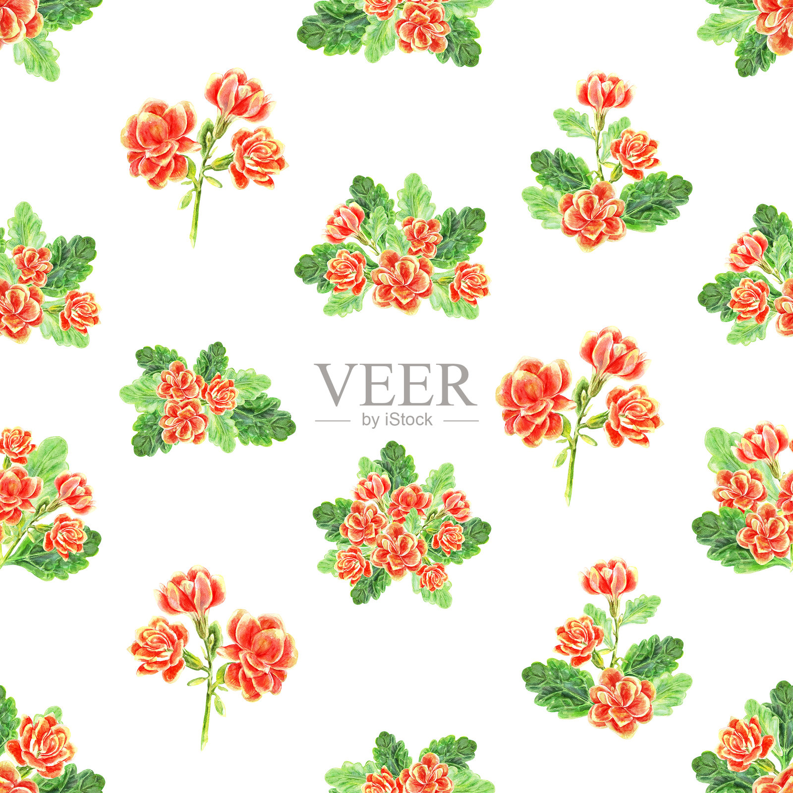 多肉植物花卉和叶子的花束图案。水彩手绘插图，背景为白色。可用于包装、面料、纺织品和包装纸。插画图片素材