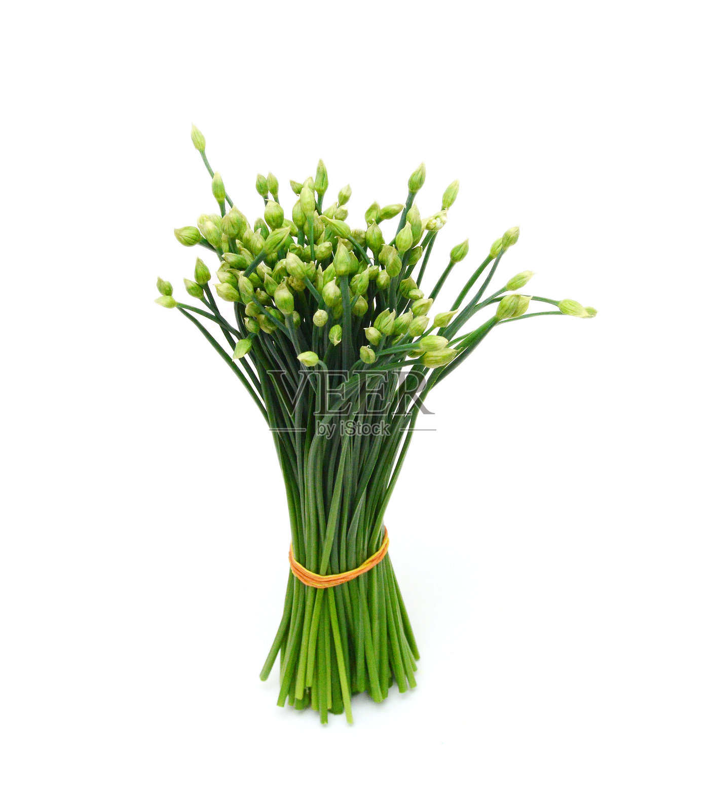 细香葱花孤立在白色背景上。照片摄影图片