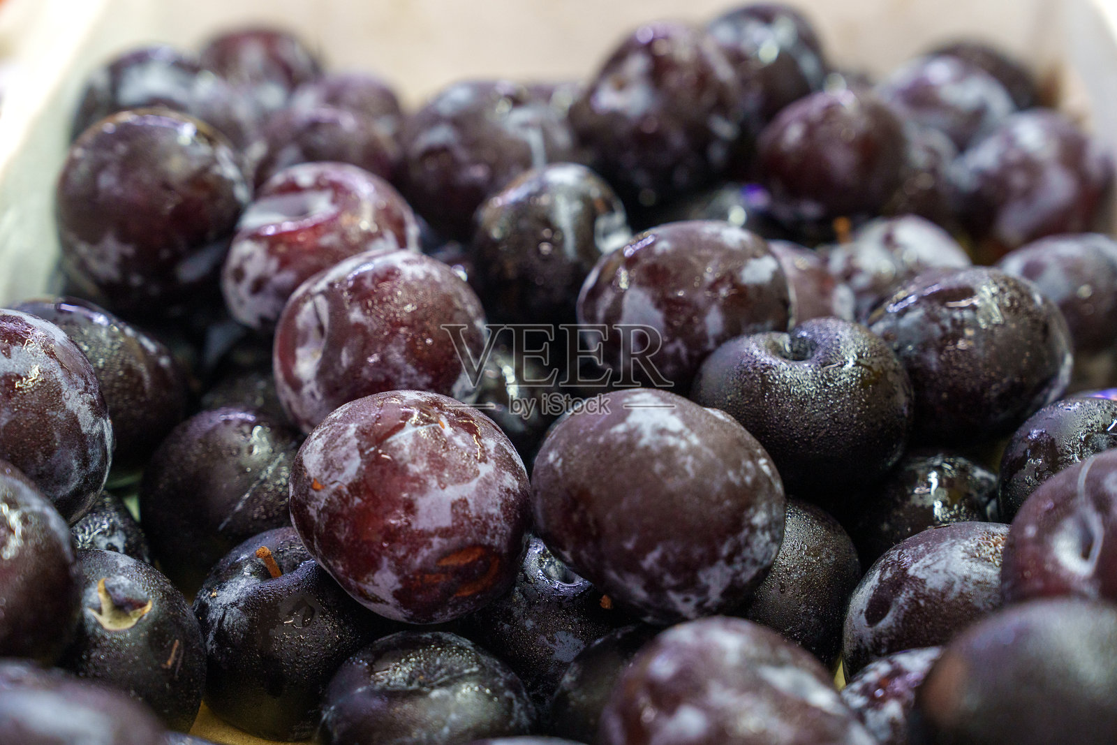 带露珠的有机李子照片摄影图片