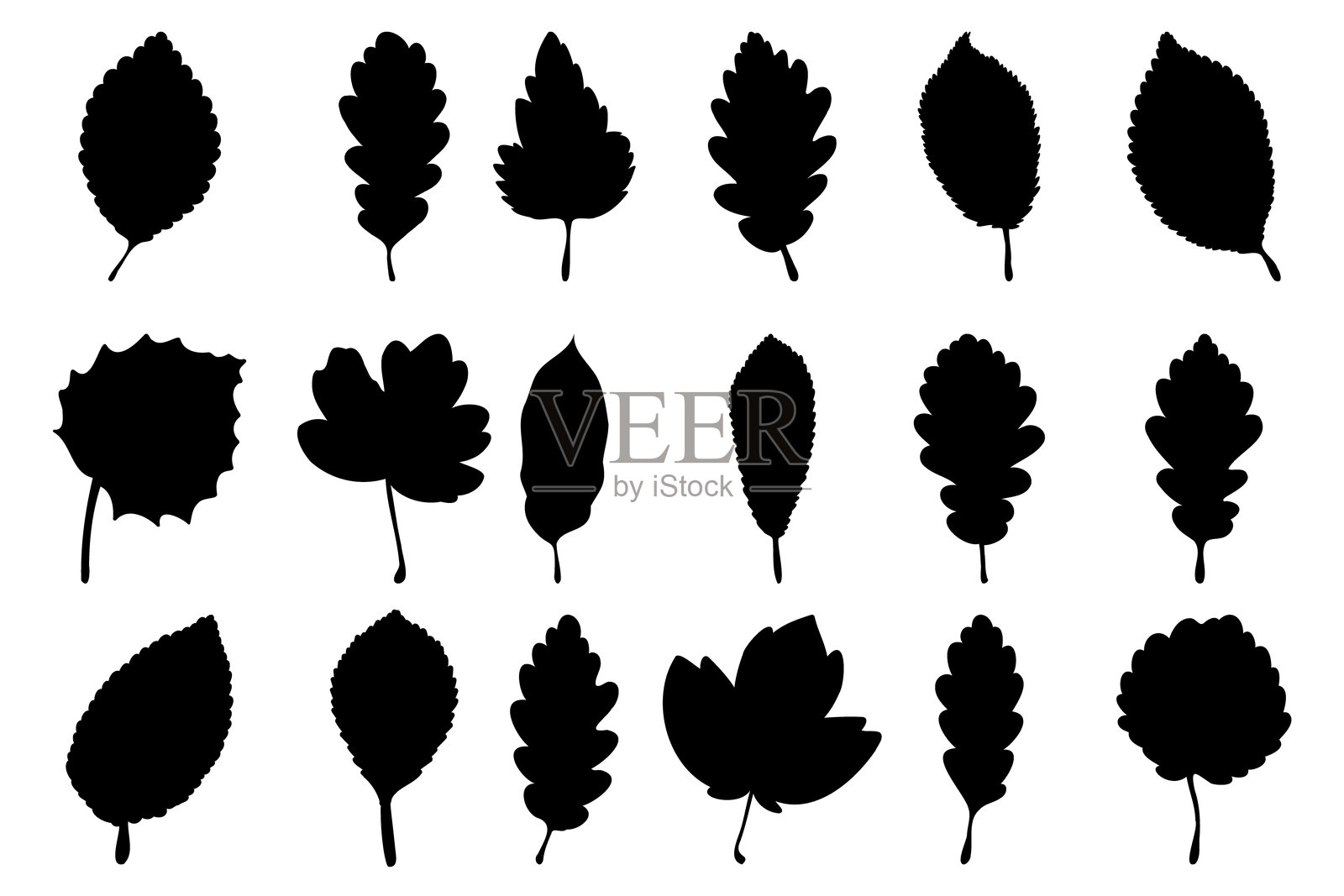 一组手绘树叶剪影孤立在白色背景上。美丽的涂鸦收集树叶。插画图片素材