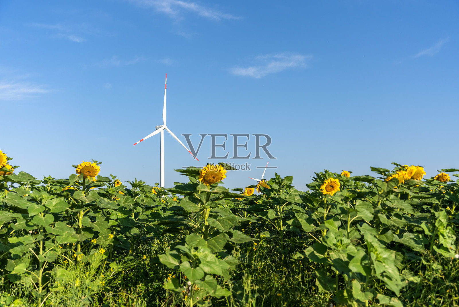 风力发电风电场风车照片摄影图片