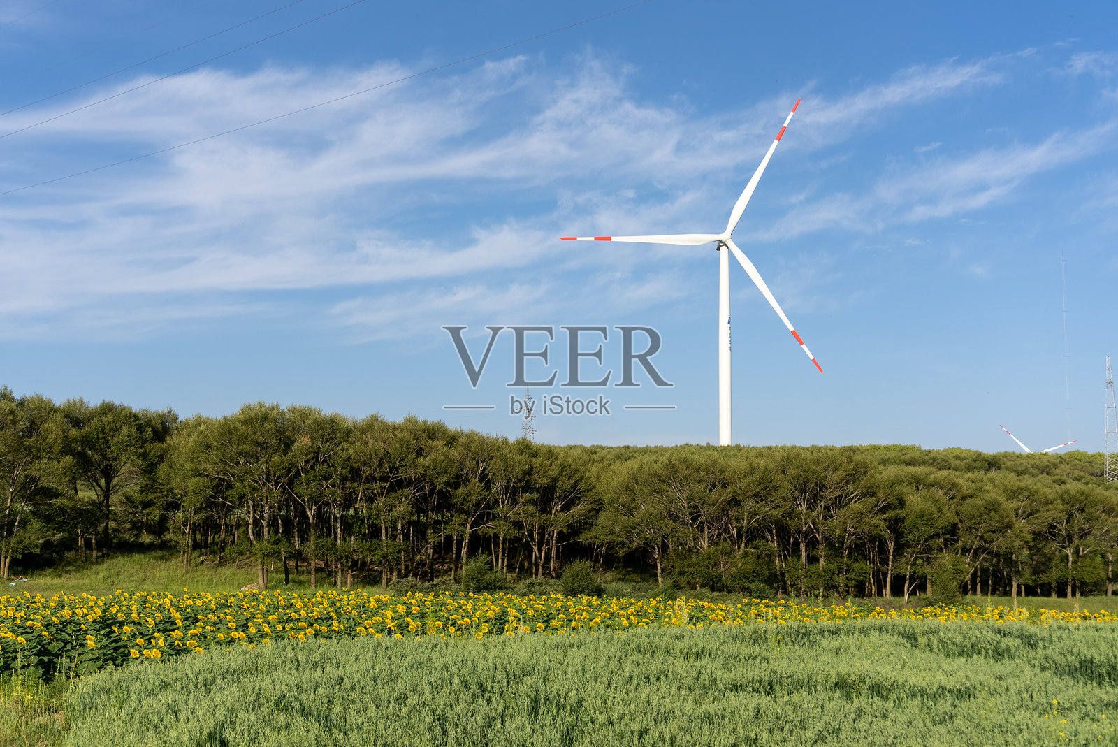 风力发电风电场风车照片摄影图片