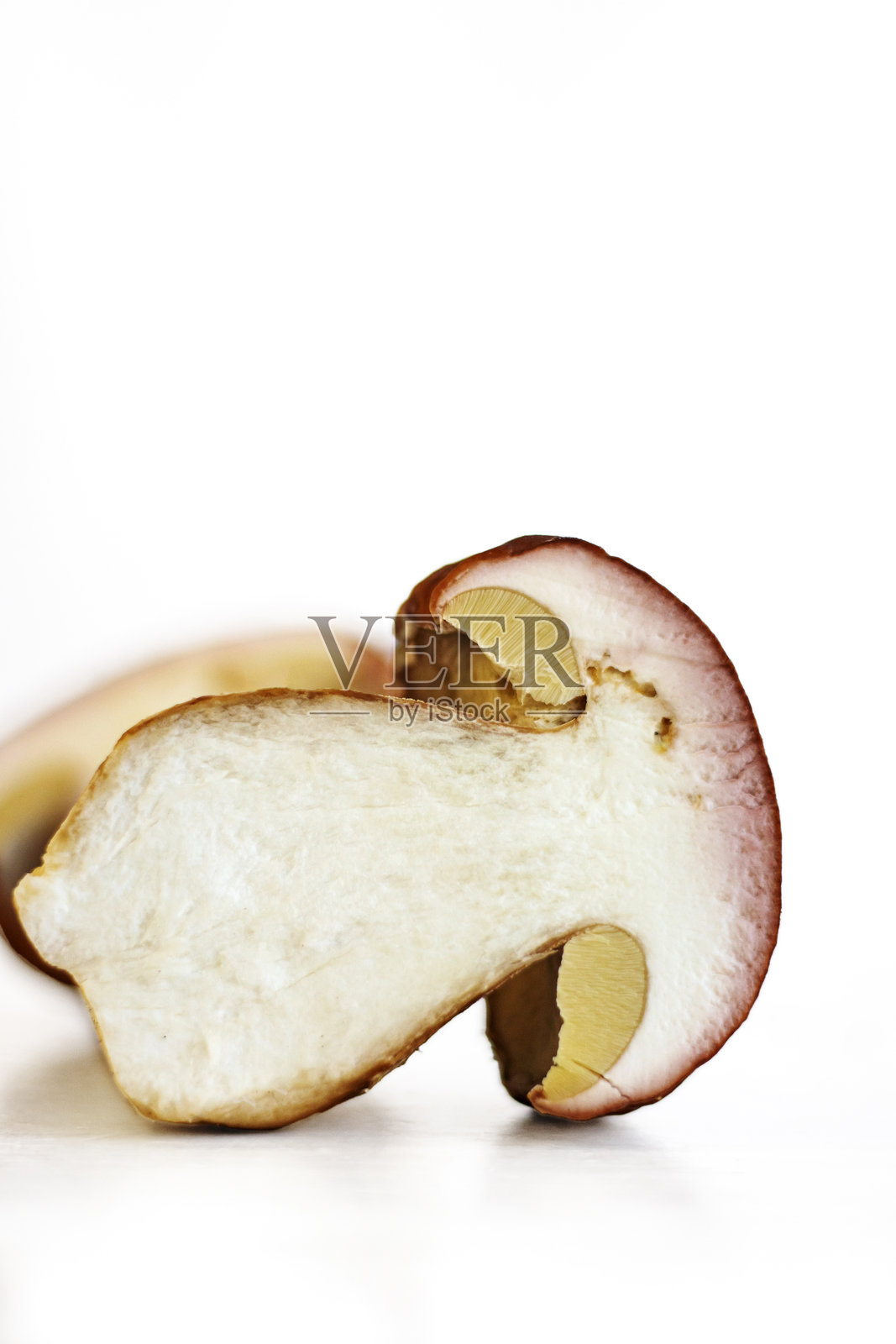 新鲜切片的牛肝菌。特写镜头显示有虫迹的虫蛀菌切片。半个牛肝菌上有虫迹。留白空间。背景为白色。照片摄影图片