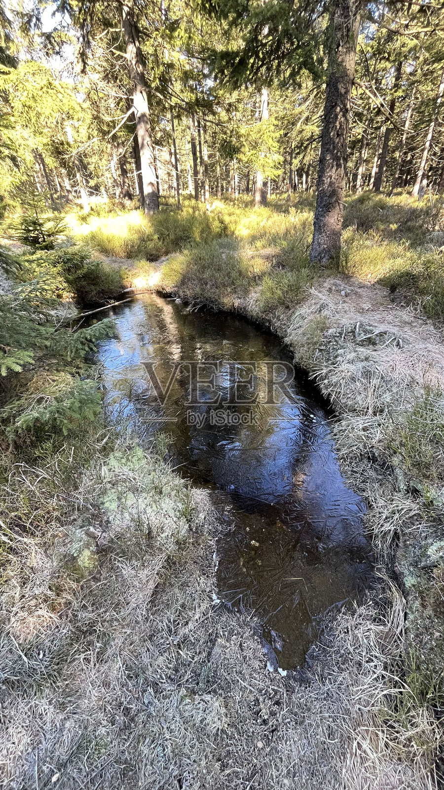 山区道路上的冰冻水坑照片摄影图片