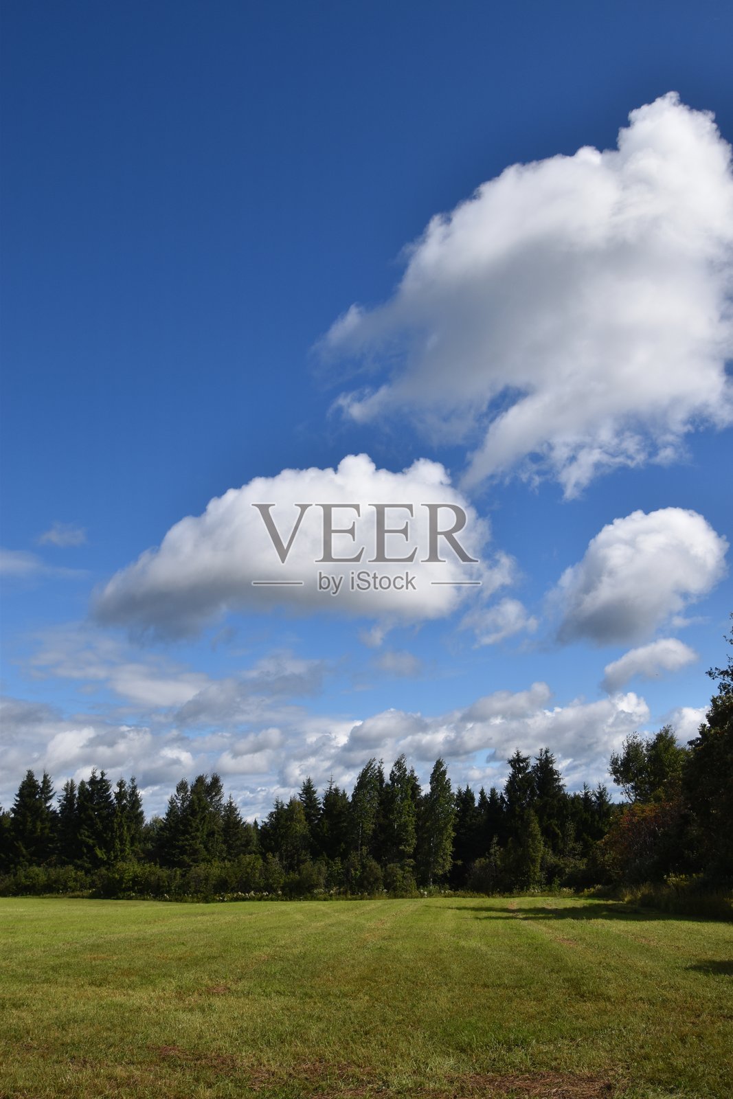 夏天的天空照片摄影图片