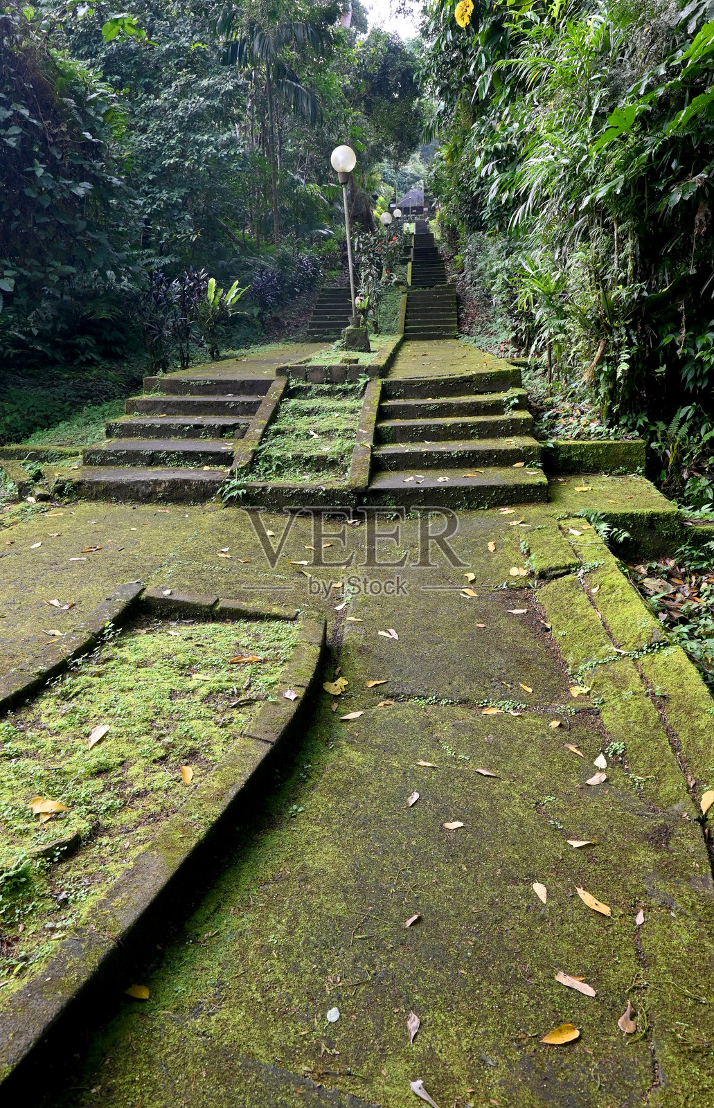 “巴图卡鲁寺”，被称为丛林寺，周围环绕着绿色雨林。照片摄影图片