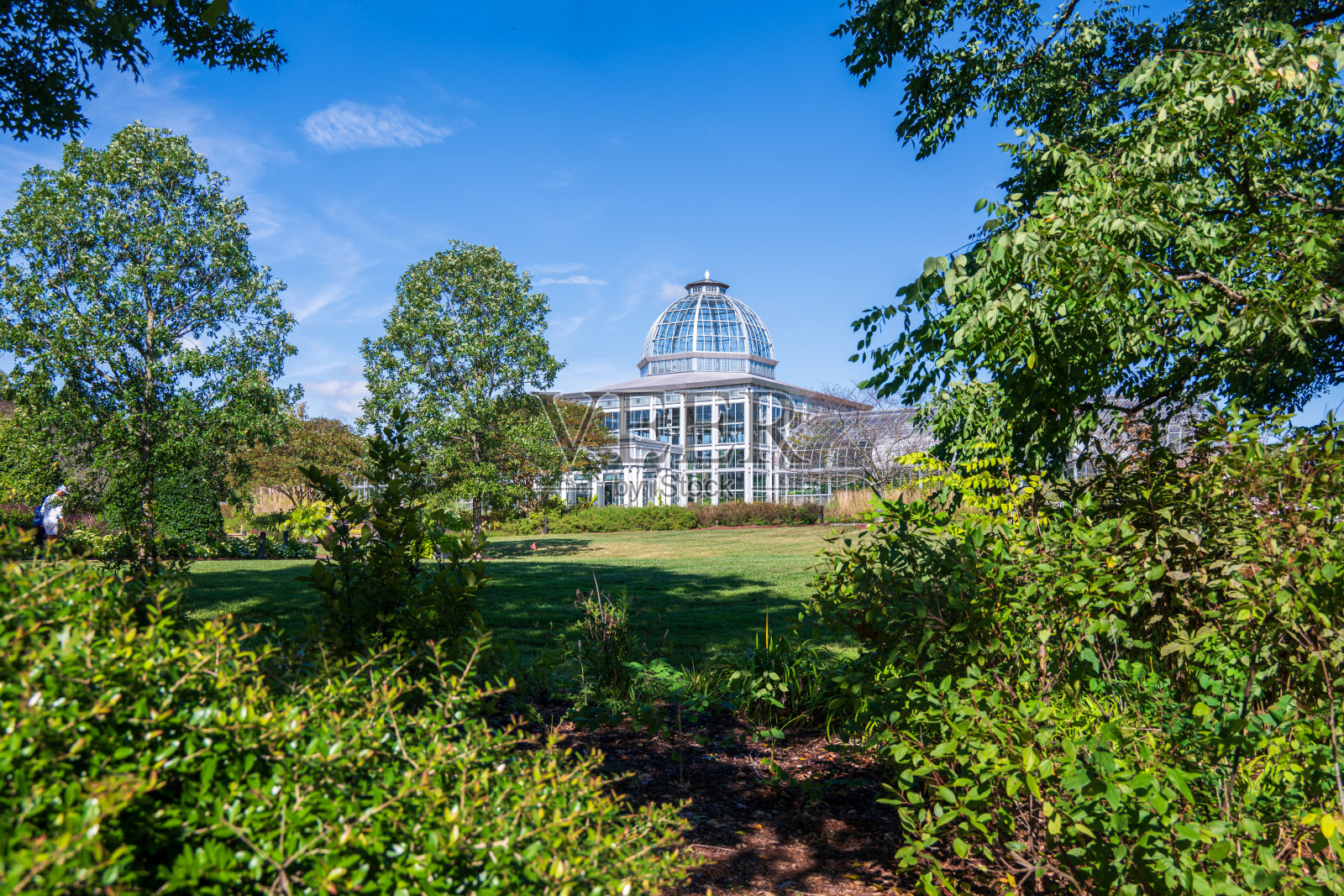 刘易斯·金特植物园的温室照片摄影图片