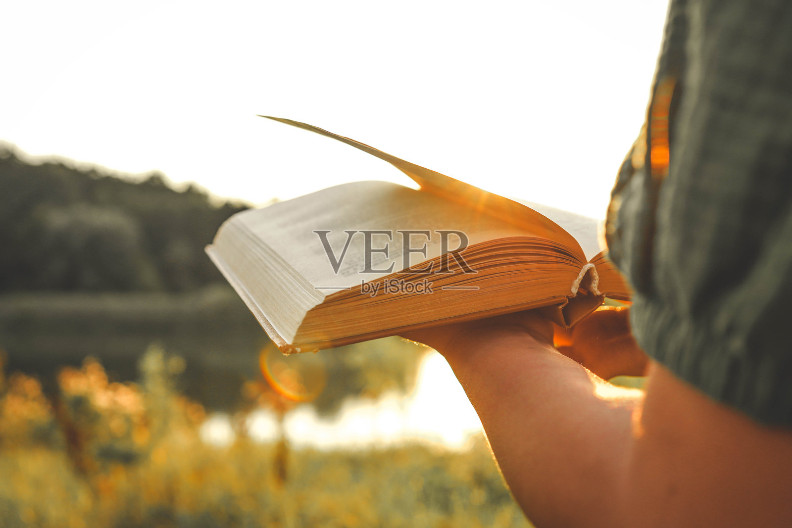 穿着裙子的女孩在阳光明媚的早晨阅读书籍。照片摄影图片