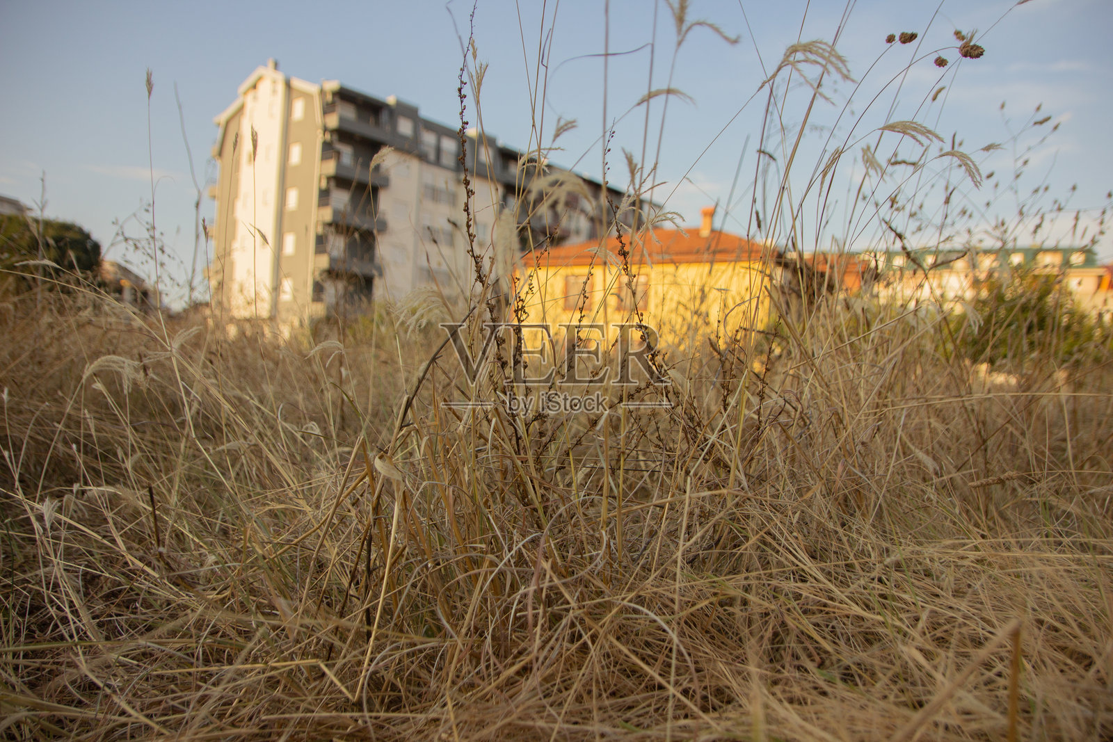 公寓楼照片摄影图片