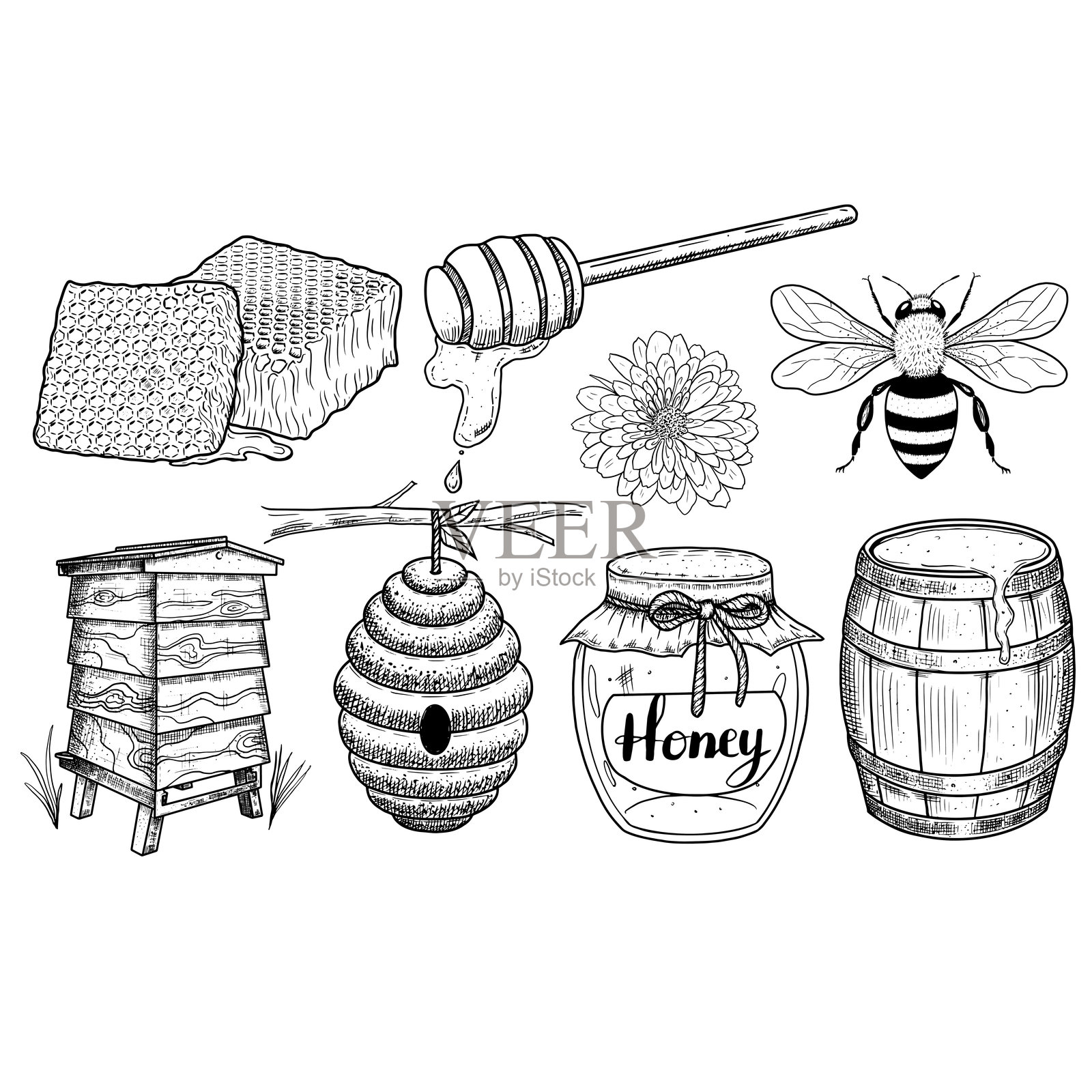 蜂蜜套装，包括蜂巢、蜂窝、蜂蜜和蜜蜂。矢量插图插画图片素材