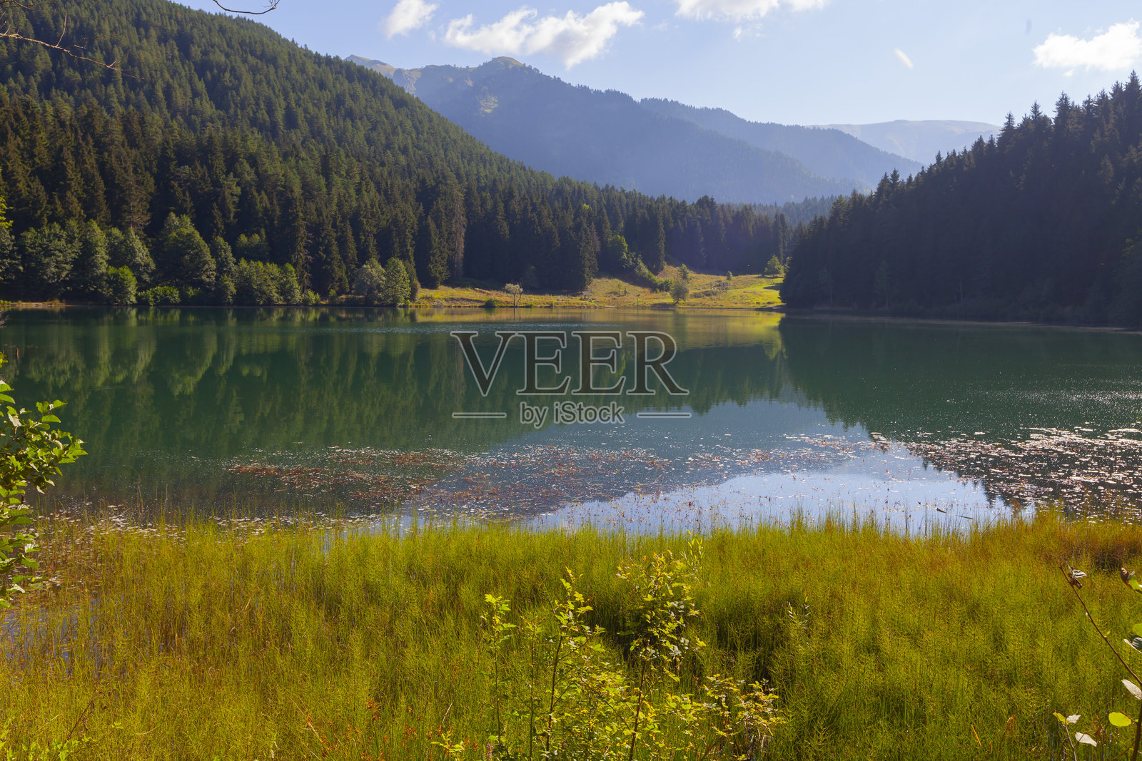 Karagöl是一个位于阿尔特温Borcka区25-27公里外的滑坡坝湖。照片摄影图片