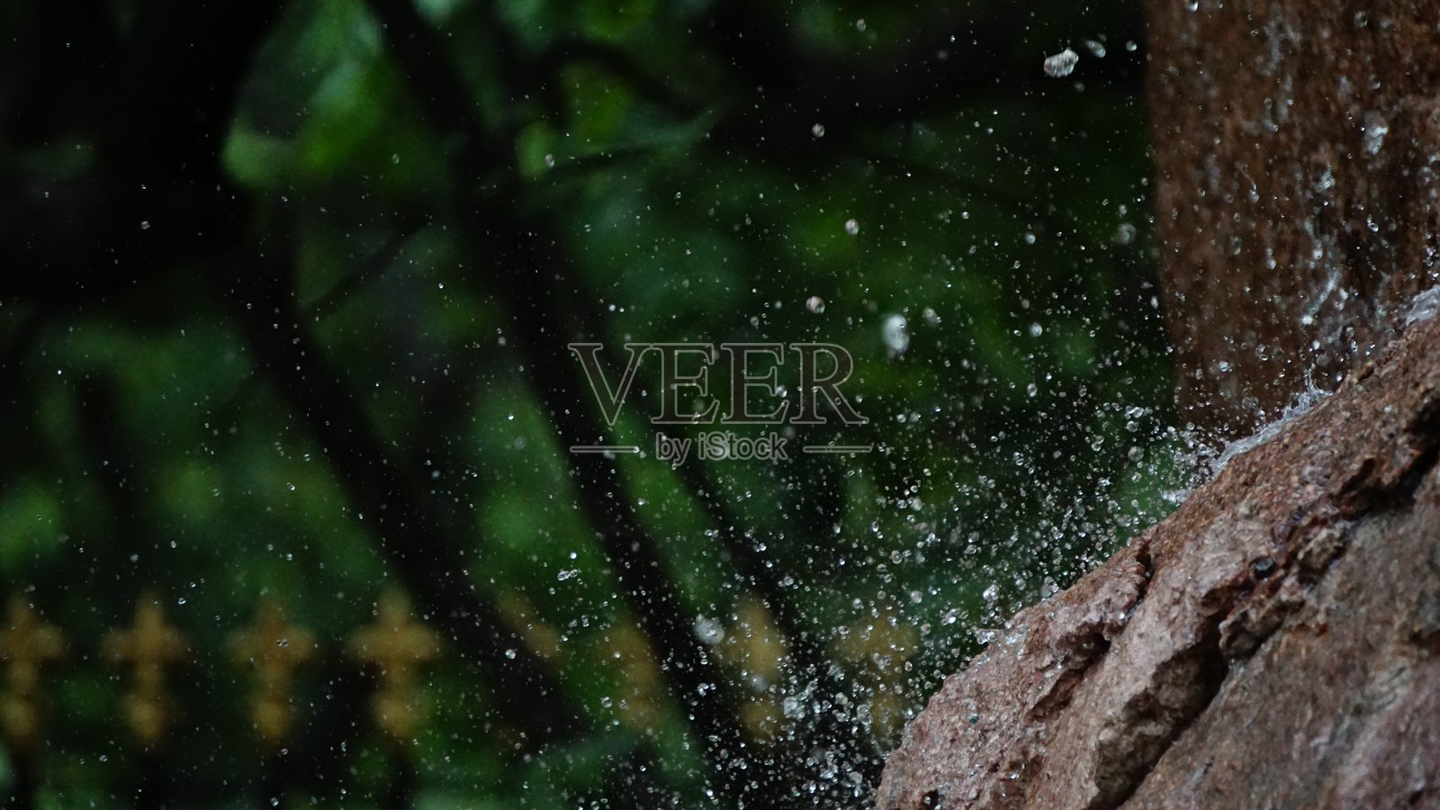 夜间树干上的水滴特写照片摄影图片