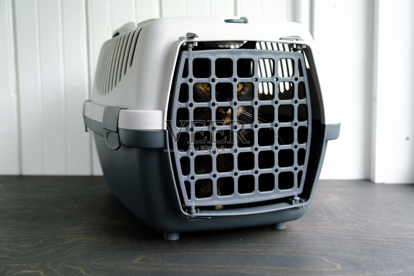 猫坐在一个灰色的塑料运输箱里。孤立动物的危险视角。动物准备安全运输。流浪野猫。去兽医诊所的旅程。照片摄影图片