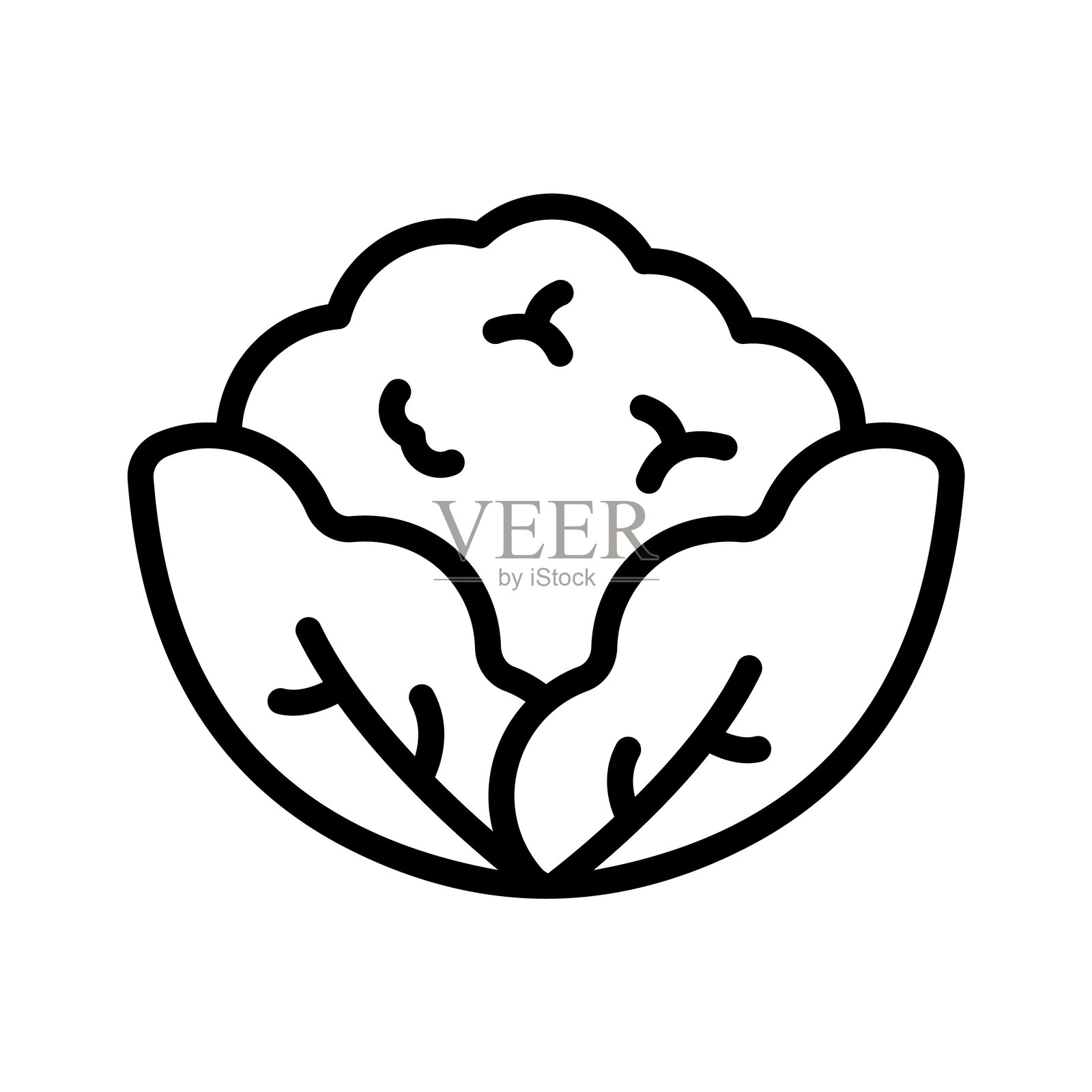 花椰菜插画图片素材